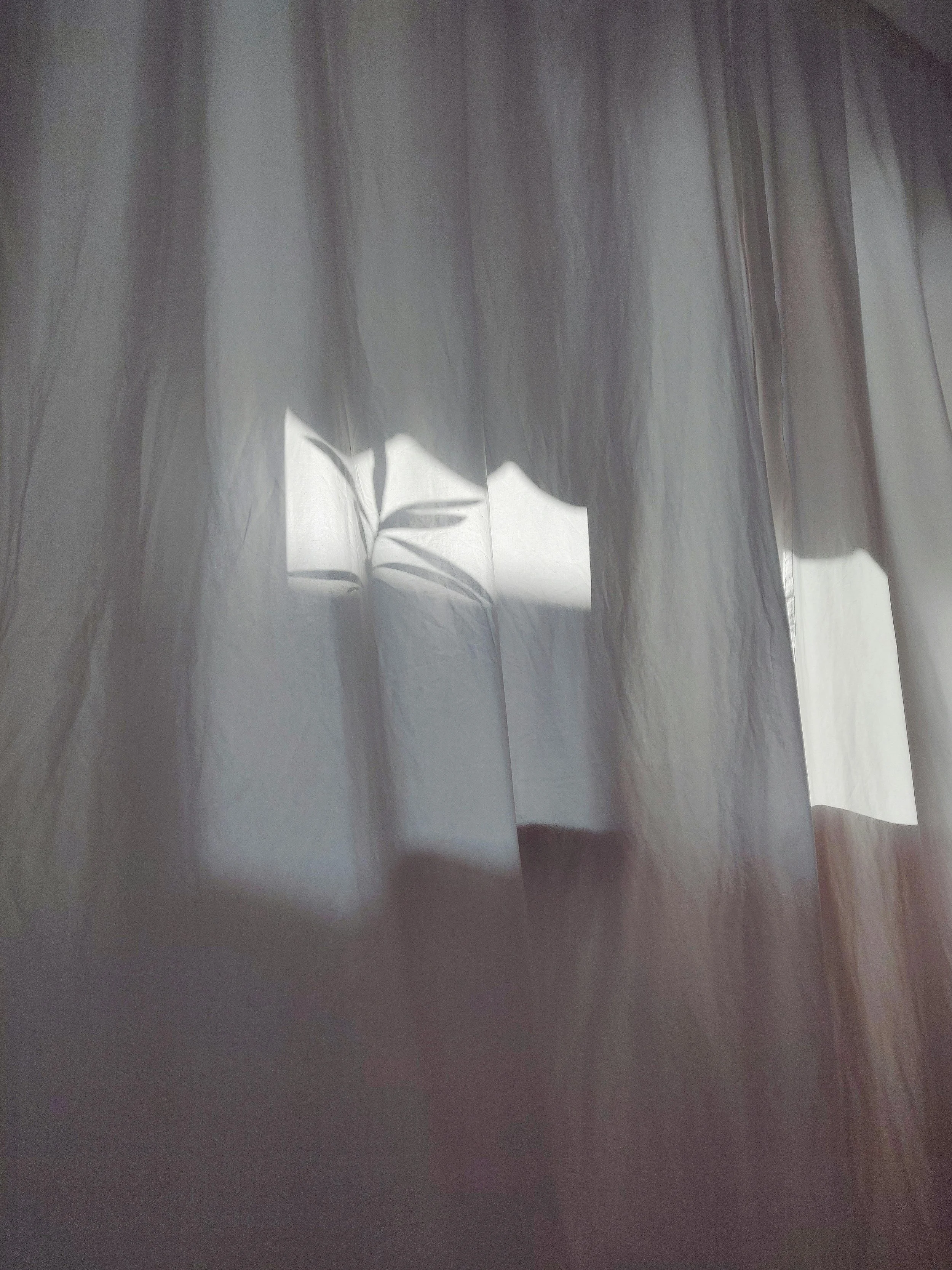 Curtain with sunlight shining through, revealing a partial plant shadow and a window behind it.