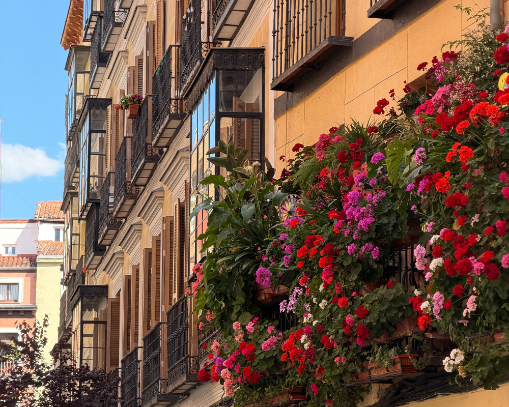 6 Things To Do In Madrid