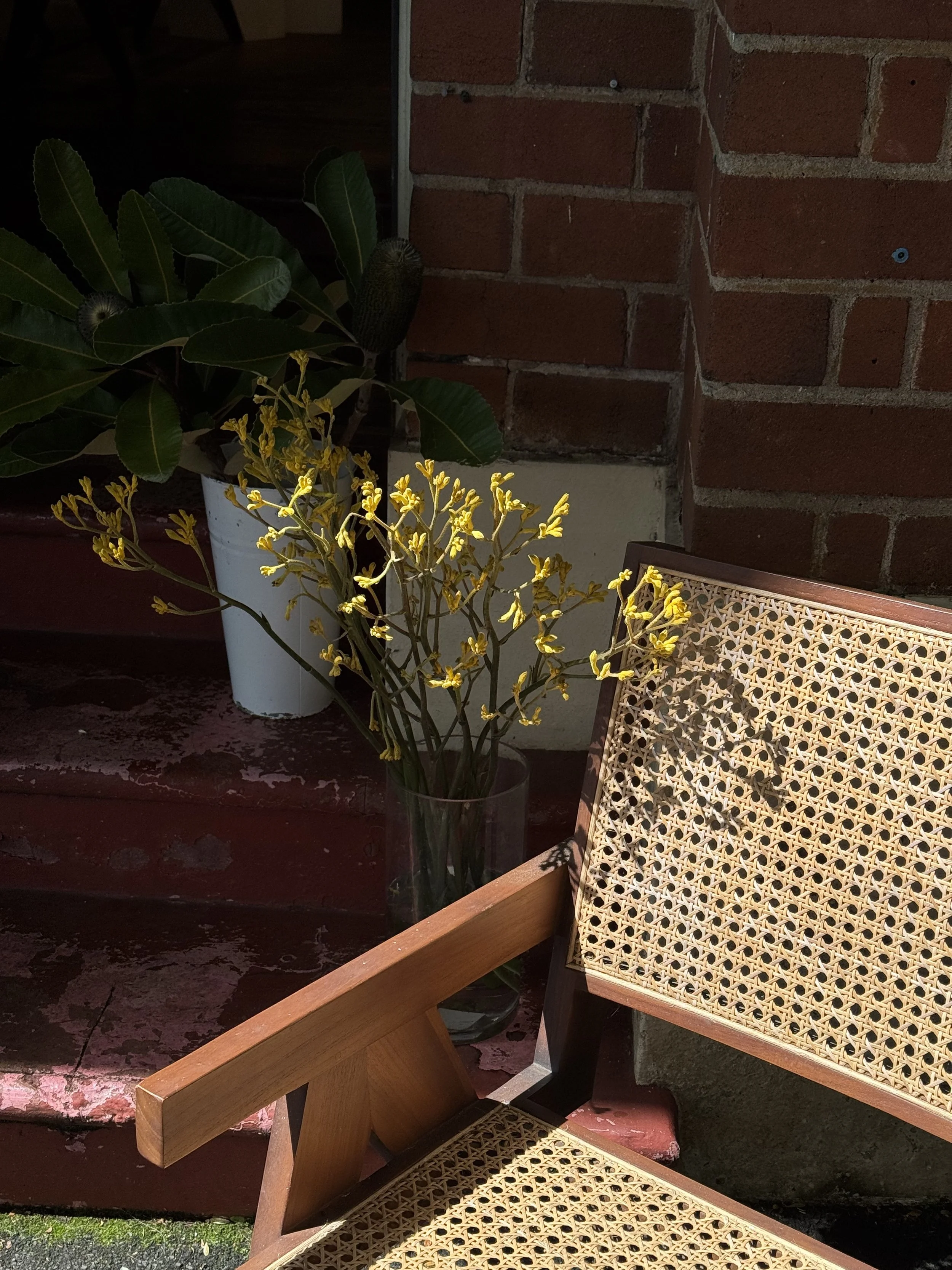 Yellow flowers in a glass vase next to a cane-back chair on a rustic wooden surface near a brick wall and a large leafy potted plant.