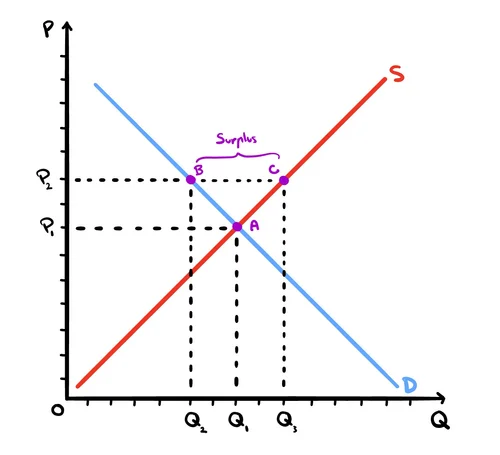 Surplus & Shortages | Discover Market Dynamics Today — Marshall Education