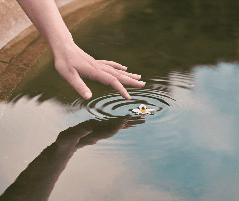 Tiny Choices. Quiet Ripples. — priyaandpriyankabhimra