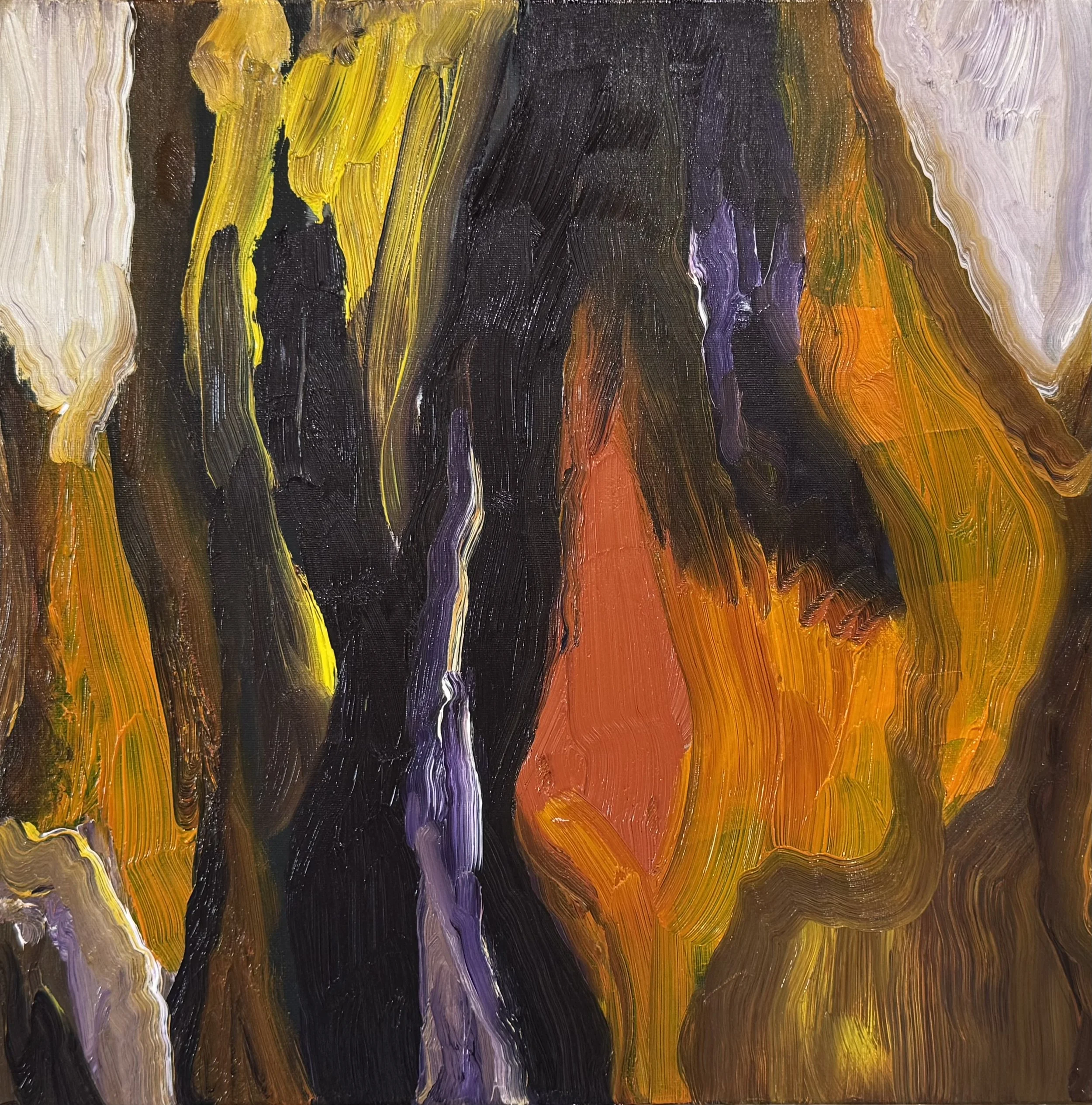 Paperbark, 2026. Oil on linen - 30 x 30 cm