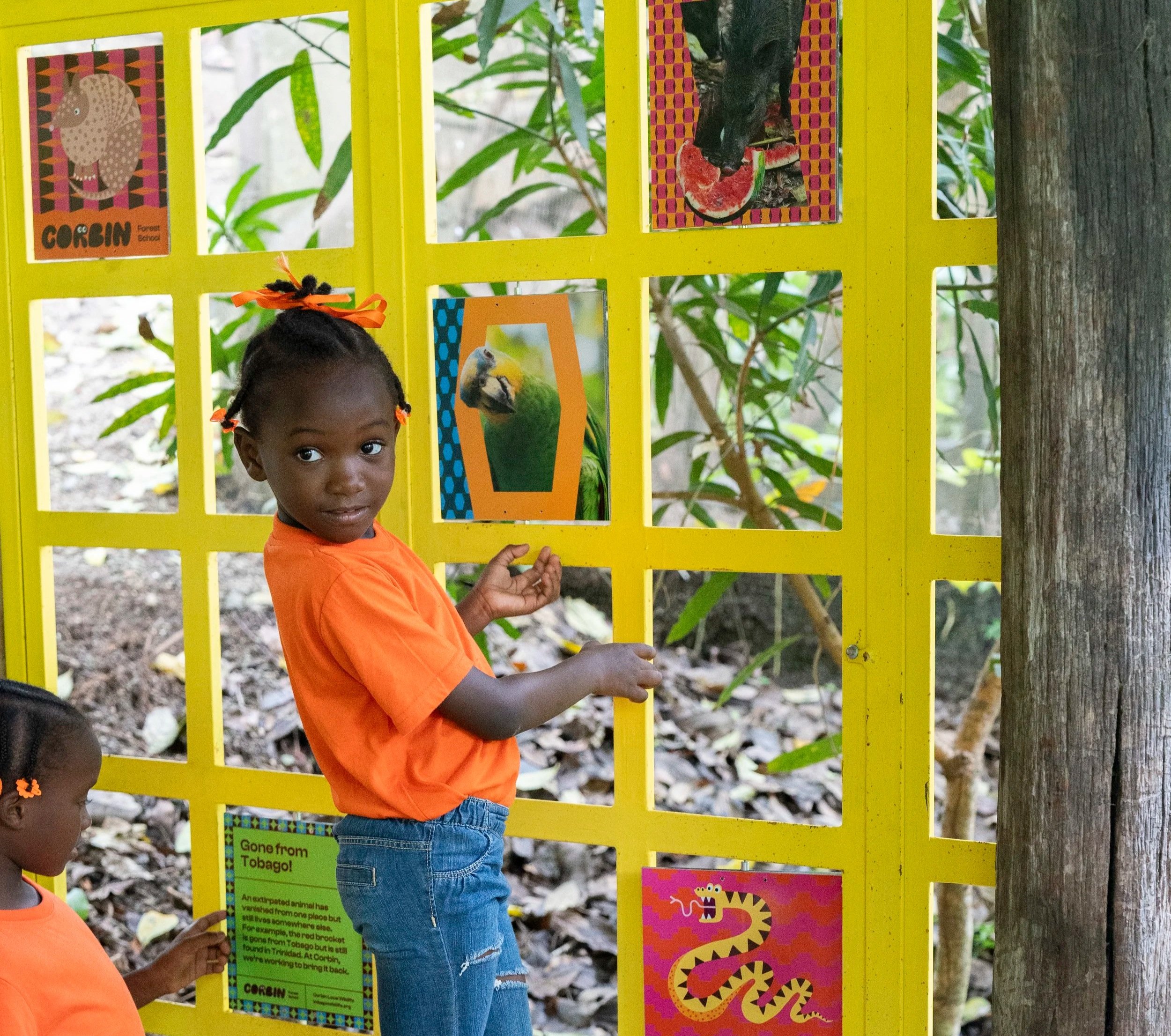 A young girl with braided hair and an orange bow, wearing an orange shirt and ripped jeans, standing by a yellow display fence with animal pictures, including a parrot and a pig, outdoors in a natural setting.