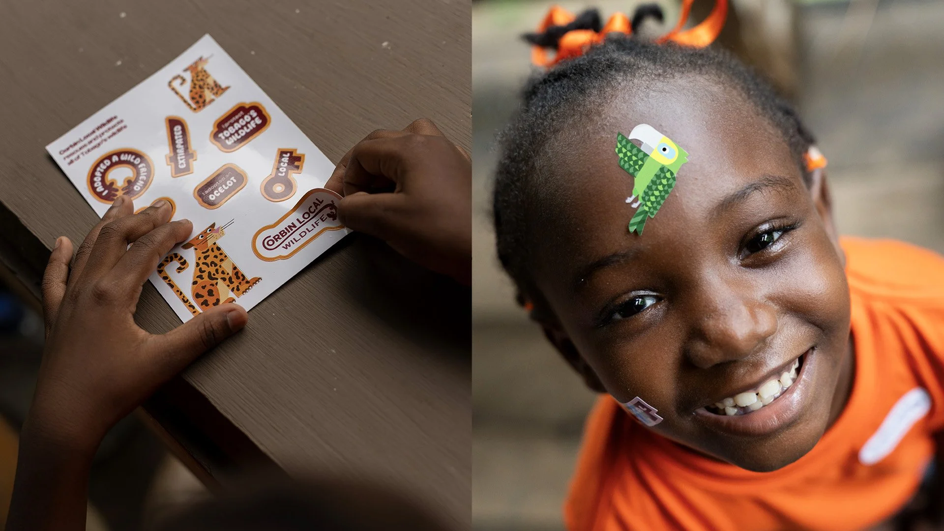A child with braided hair and orange bows on top, smiling, with a sticker of a green parrot on the forehead. On the left side, hands are placing lion and tiger stickers on a sheet of paper with wildlife-themed stickers including a tiger, leopard, and various wildlife-related phrases.
