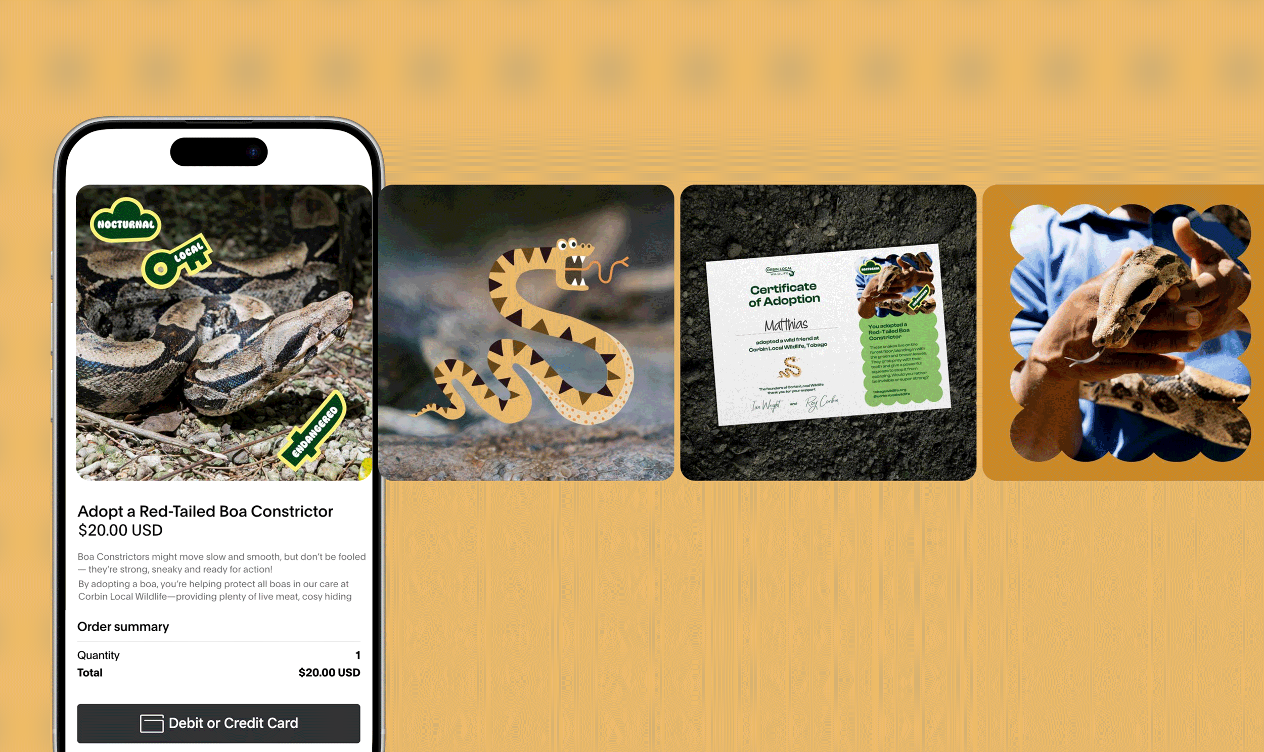 A mobile screen displaying an online page for adopting a red-tailed boa constrictor, priced at $20.00 USD, with a background of a snake illustration and stickers saying 'Nocturnal', 'Local', and 'Endangered'. Four images; a snake on the ground, a cartoon snake, a certificate of adoption, and a person holding a live boa constrictor.