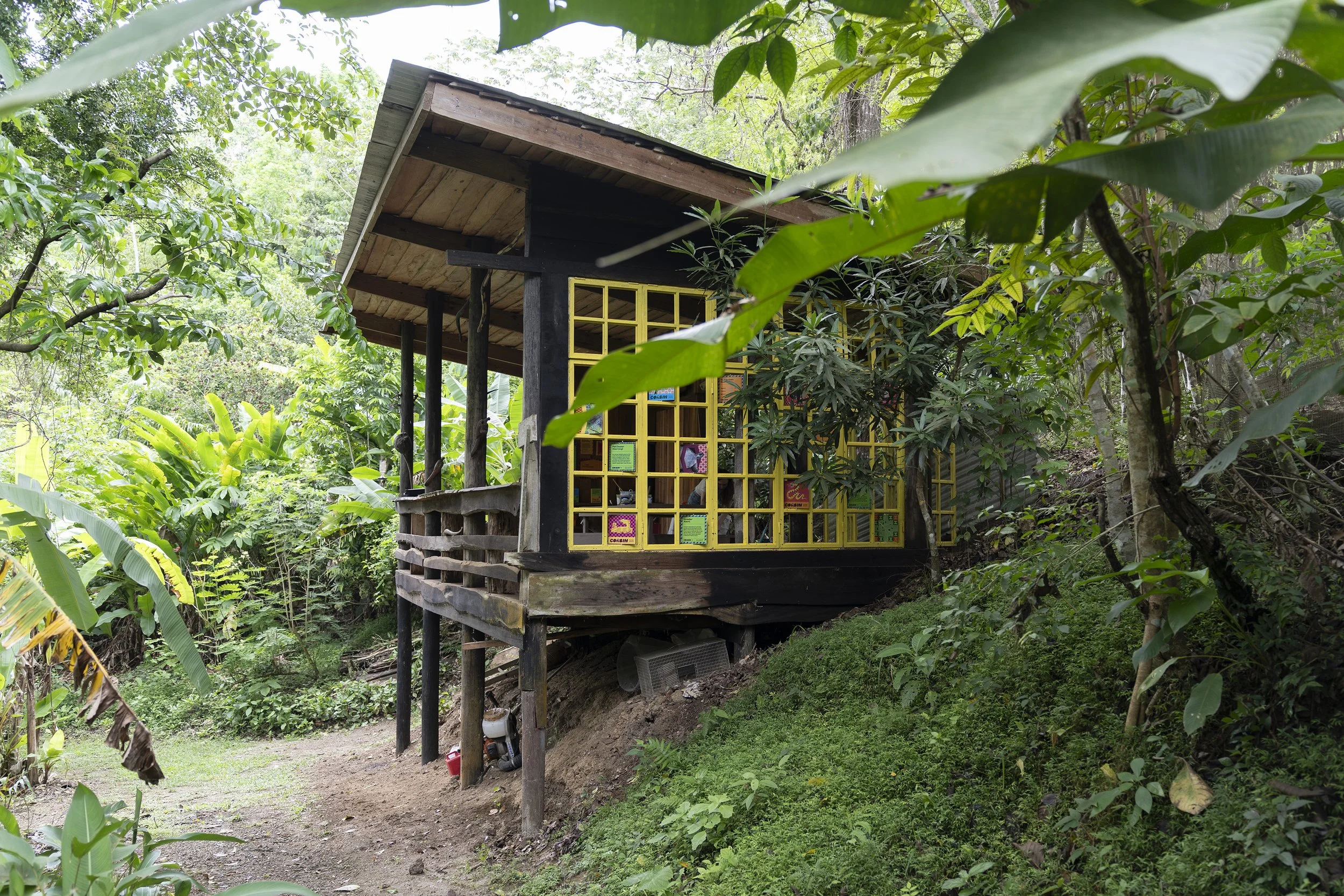 A small wooden house on stilts surrounded by dense green tropical vegetation.