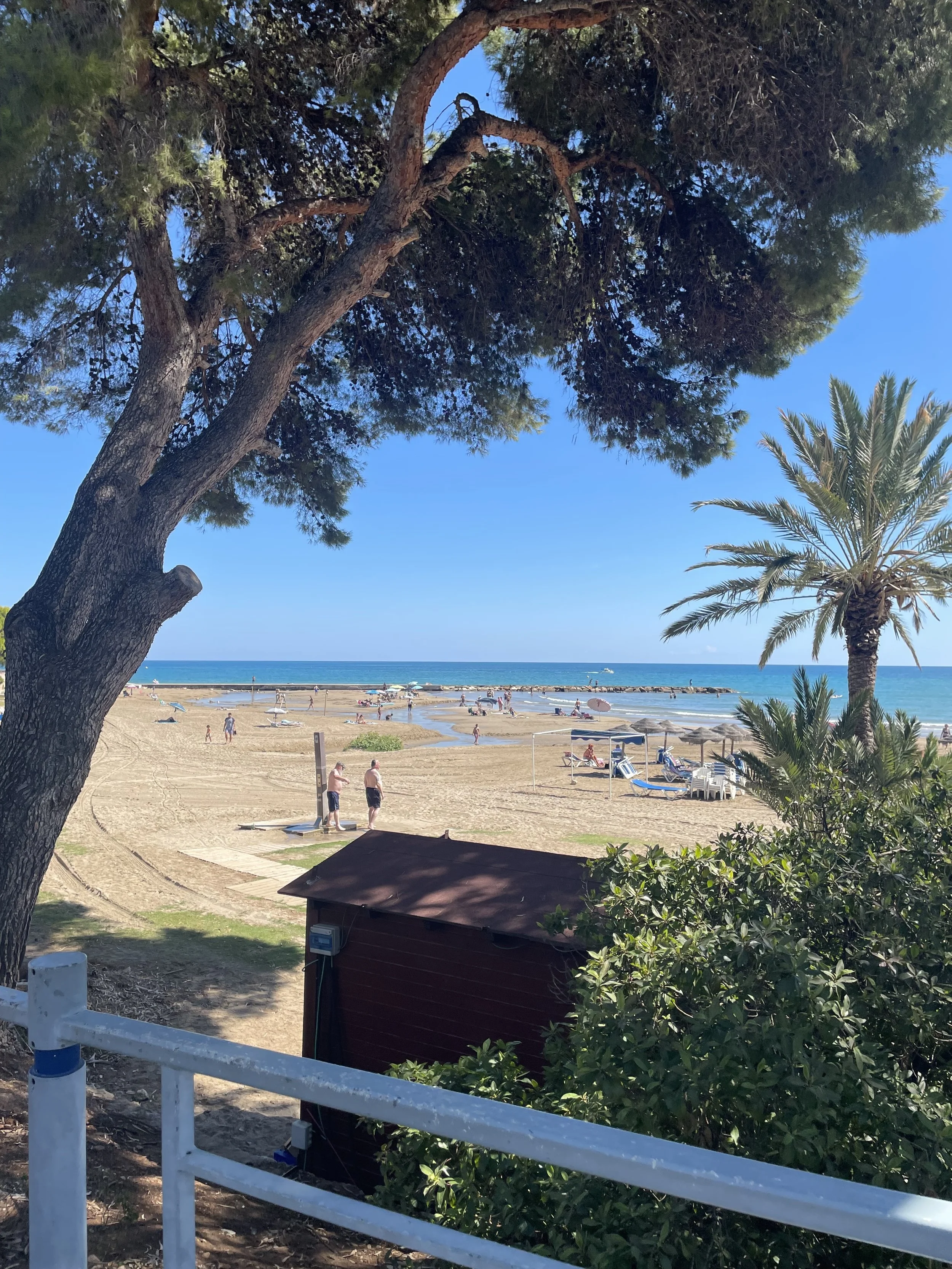 IMG_1818.jpeg
