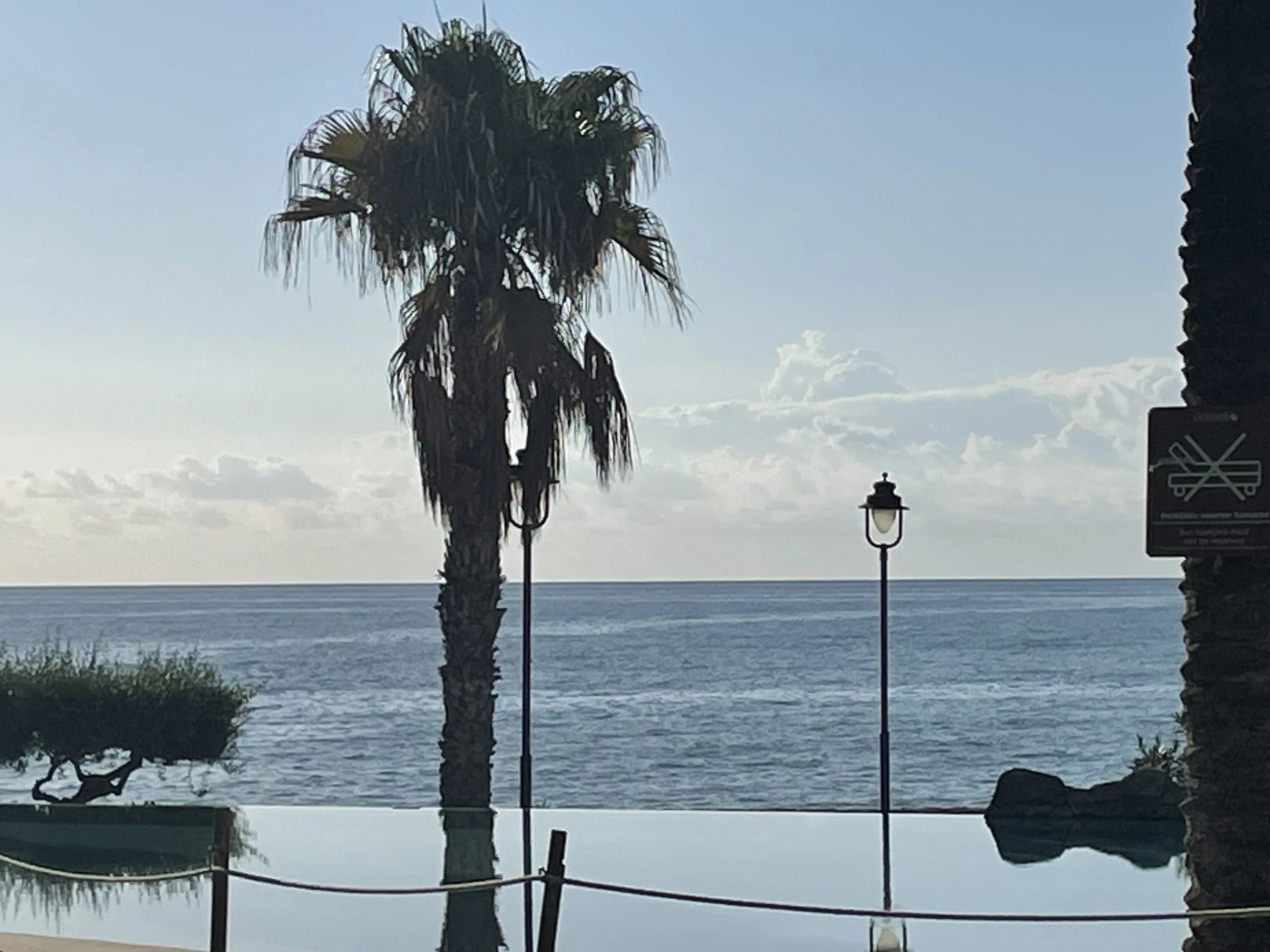 IMG_1807.jpeg
