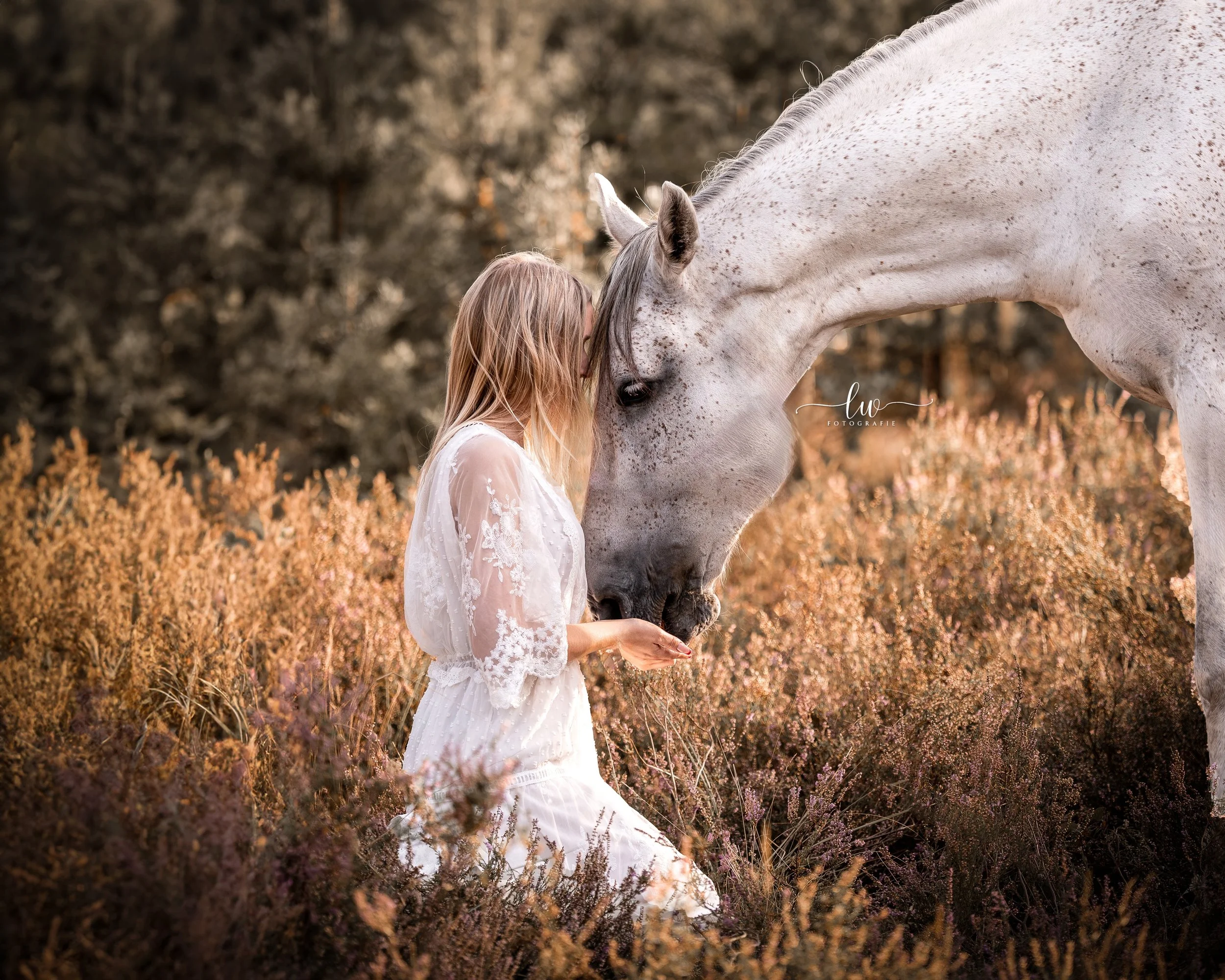 Ein junges Mädchen mit blondem Haar trägt ein weißes Kleid mit Spitze und kniet in einer Heide, während ihr Kopf an die Nase eines weißen Pferdes mit braunen Flecken lehnt.