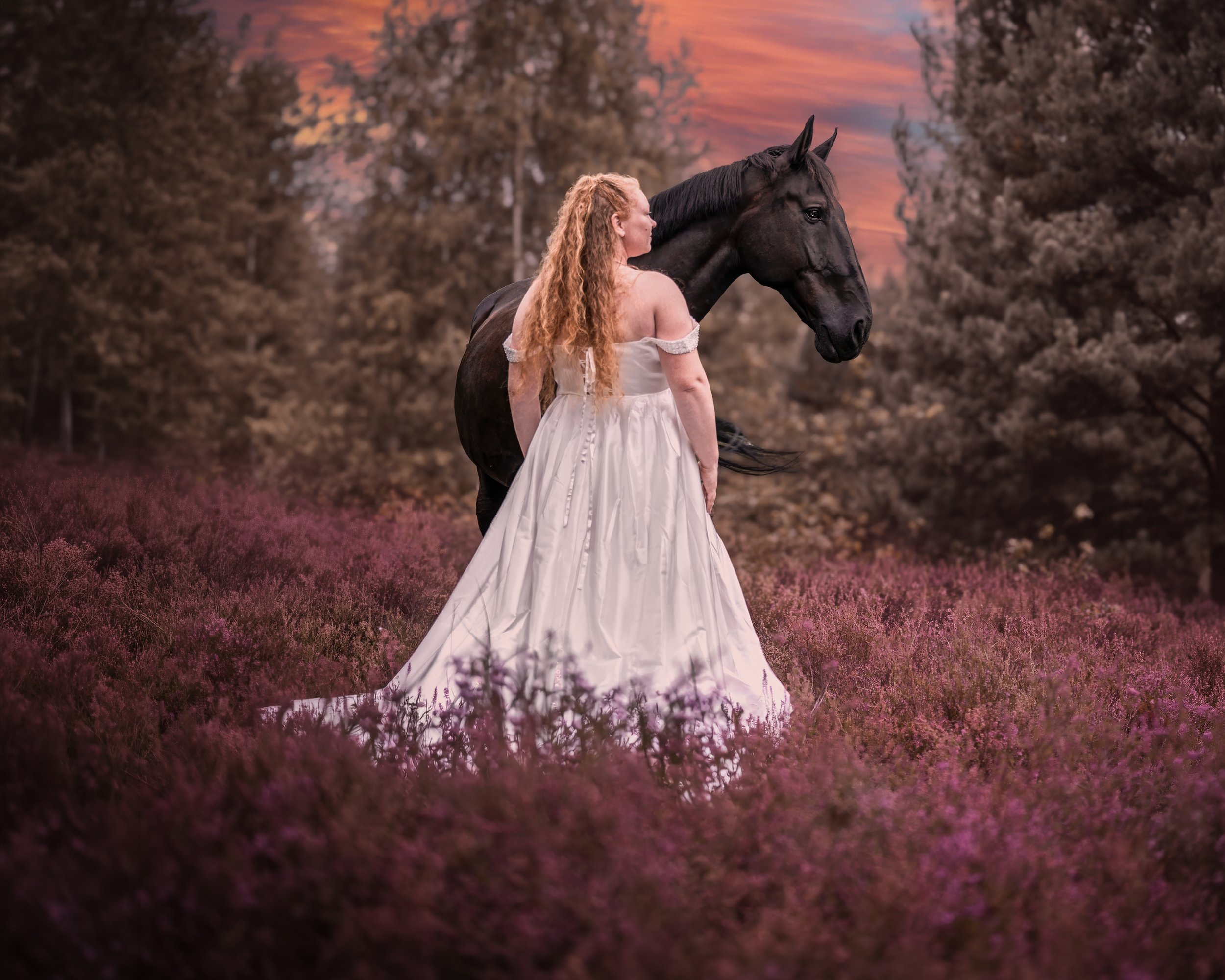 Eine junge Frau in einem weißen Kleid steht neben einem schwarzen Pferd in einer Wiese mit lila Blumen, im Hintergrund ein Sonnenuntergang mit rosa Himmel und Bäumen.