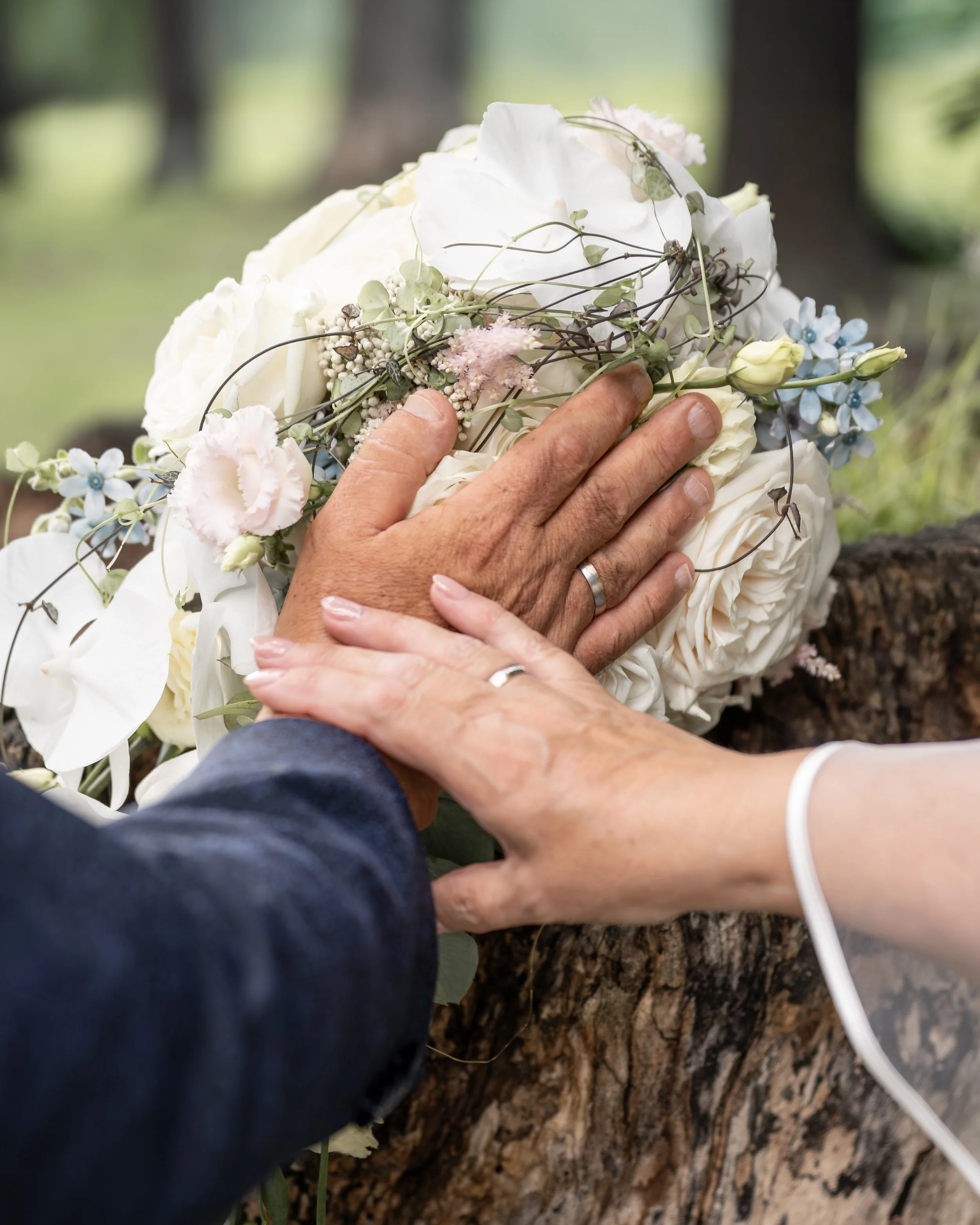 Hand hält Blumenstrauß mit weißen und blauen Blumen vor Baumstamm im Freien.