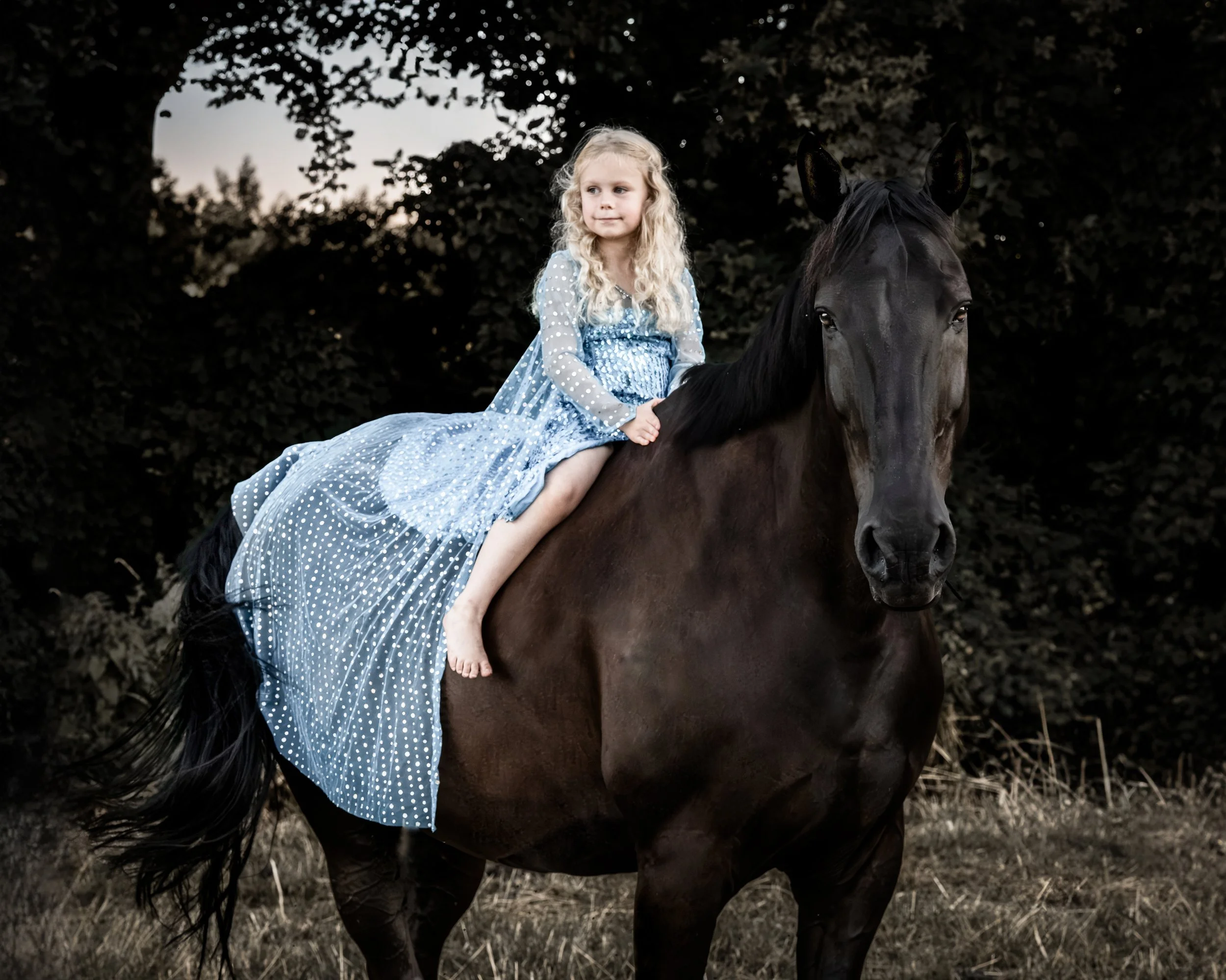 Ein junges Mädchen in einem blauen Kleid sitzt auf einem schwarzen Pferd in einem dunklen Waldumfeld.