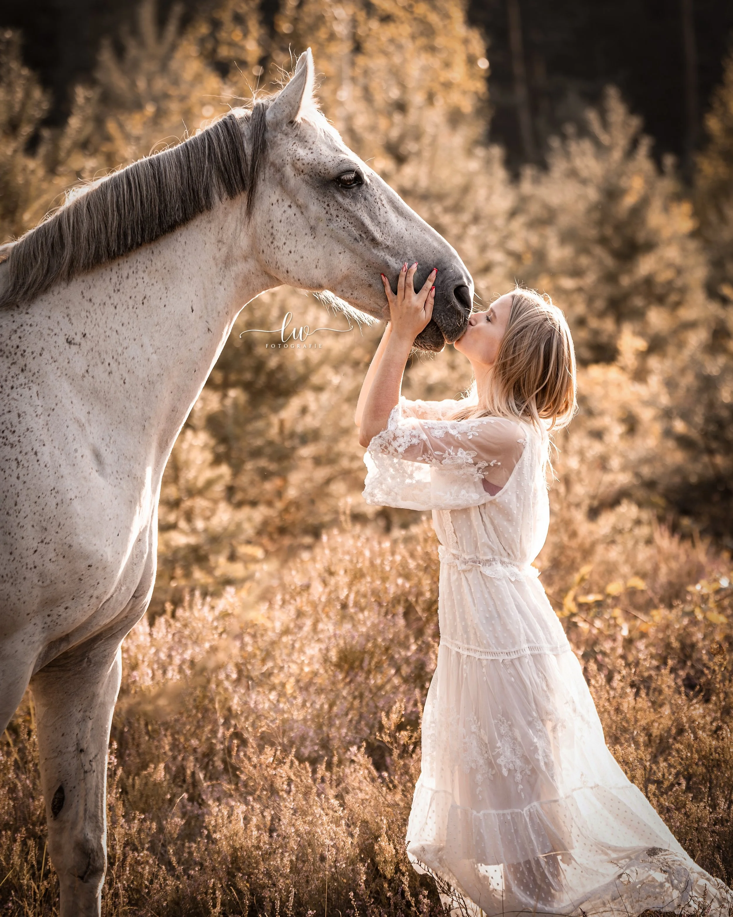 Ein junges Mädchen im weißen Kleid küsst einen weißen Pferd im Sonnenuntergang, umgeben von goldenen Bäumen.