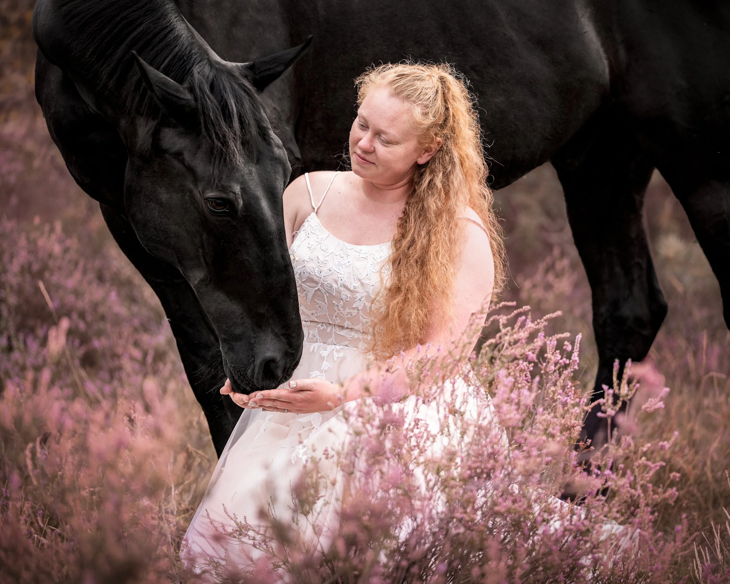 Eine Frau mit roten Locken und einem weißen Spitzenkleid steht inmitten eines Feldes mit pinkfarbenen Blumen, während ein schwarzes Pferd neben ihr steht und sich neigt.