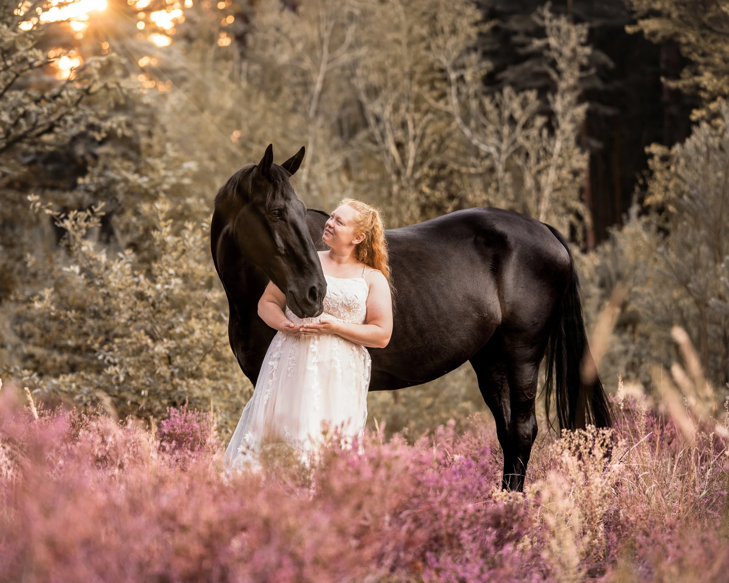 Eine Frau in einem weißen Kleid steht in einer Wiese mit rosa Blumen und umarmt ein schwarzes Pferd bei Sonnenuntergang.