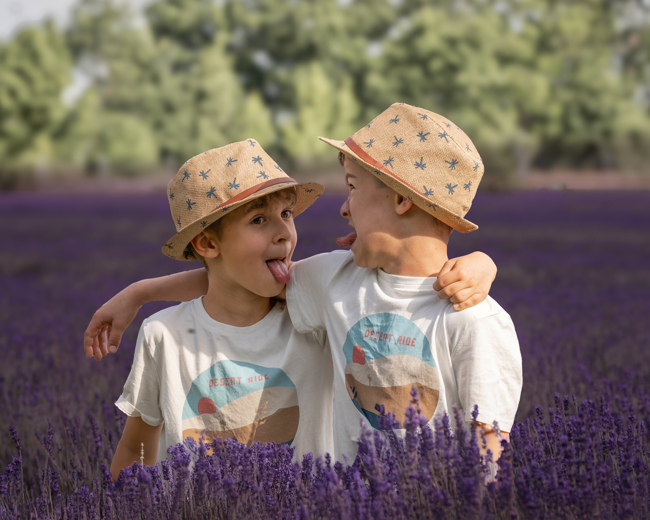 Zwei Jungen tragen Sonnenhüte mit Sternenmuster und spielen in einer Lavendelfeld, lachen und machen Gesichter zueinander.