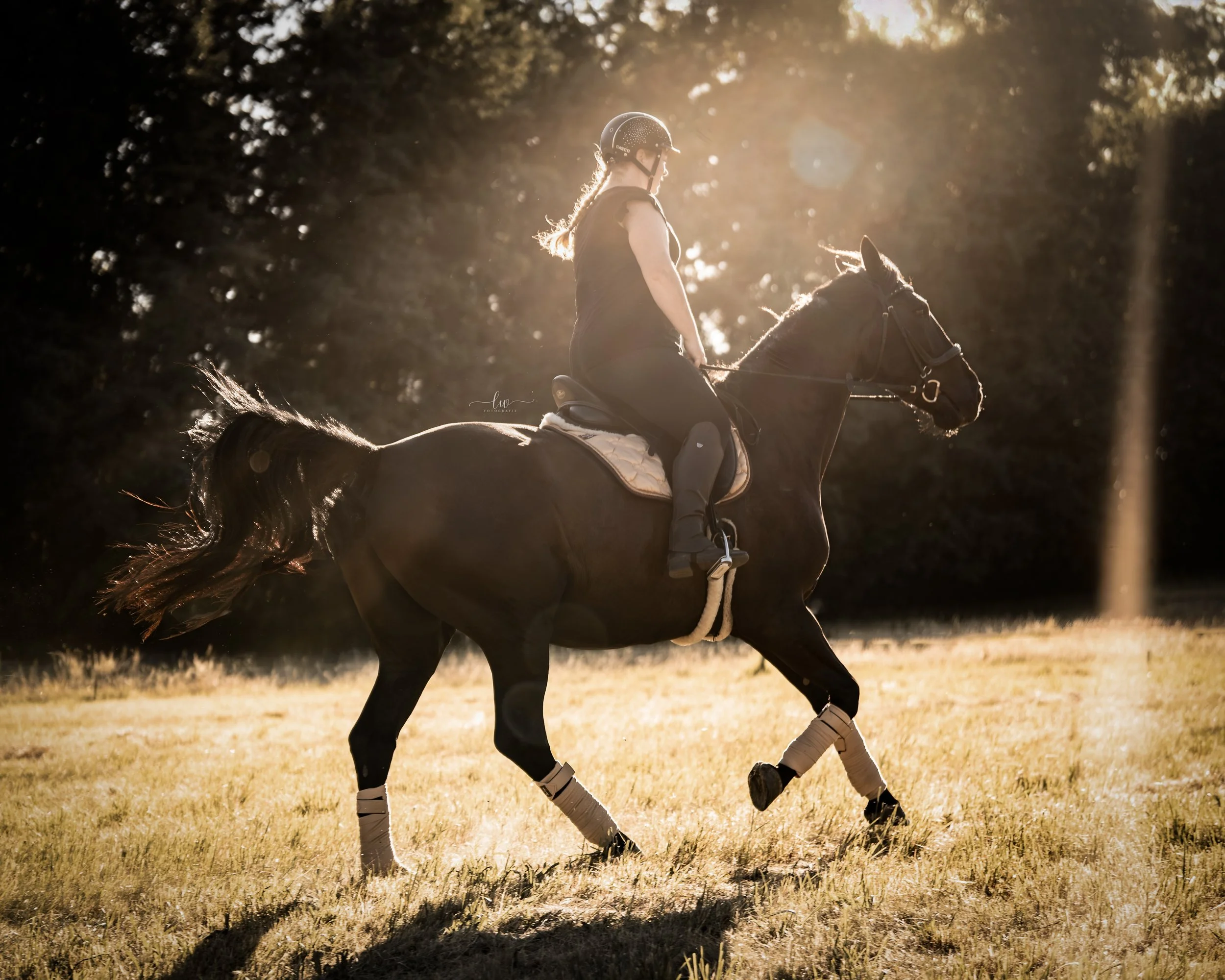 Eine Reiterin im Sonnenlicht, die auf einem schwarzen Pferd in einem offenen Feld reitet.