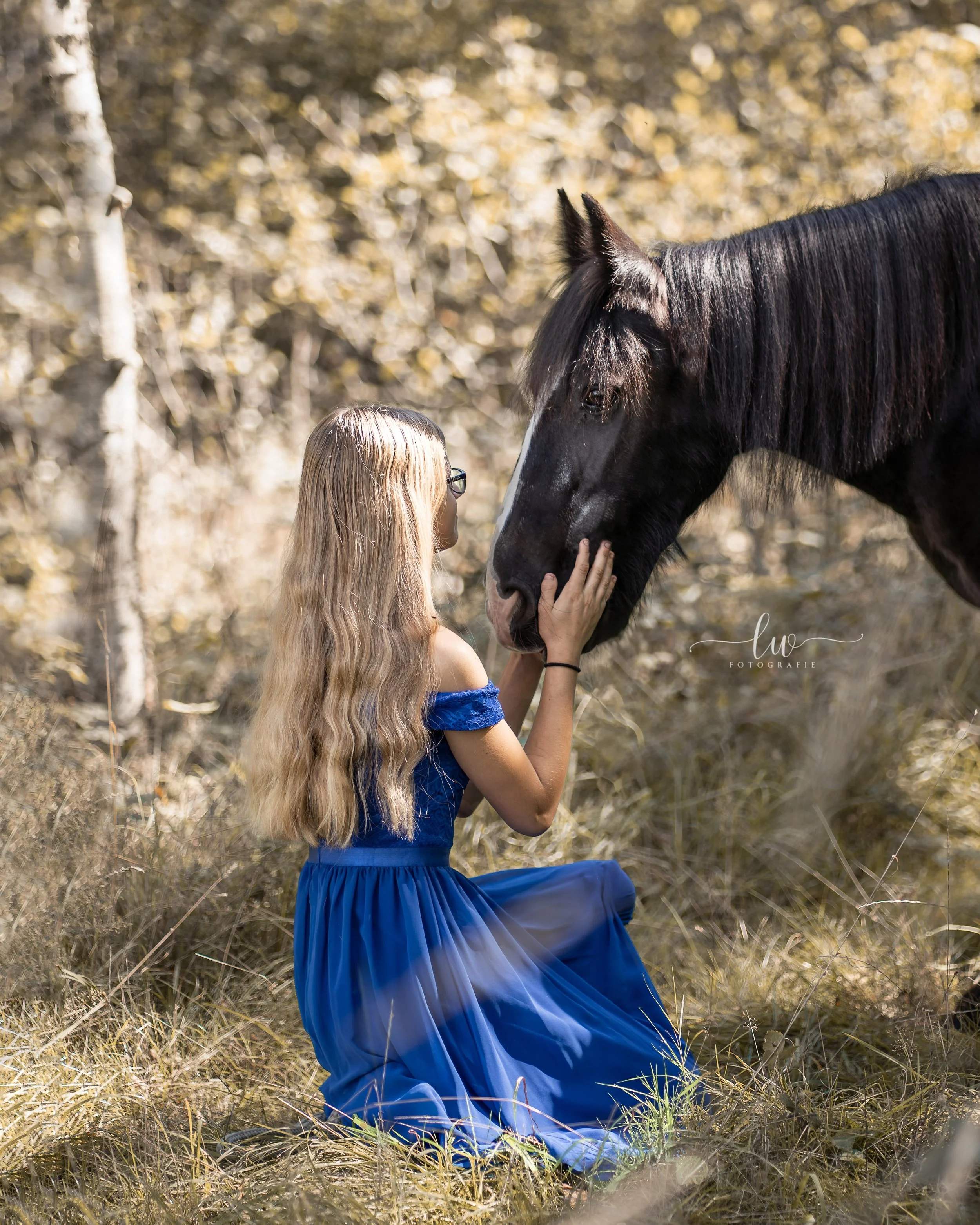 Ein junges Mädchen mit langen blonden Haaren und schwarzen Brillen sitzt im Gras in einem waldähnlichen Bereich in einem blauen Kleid. Sie streichelt eine schwarze Pferd mit langer Mähne, das vor ihr steht.