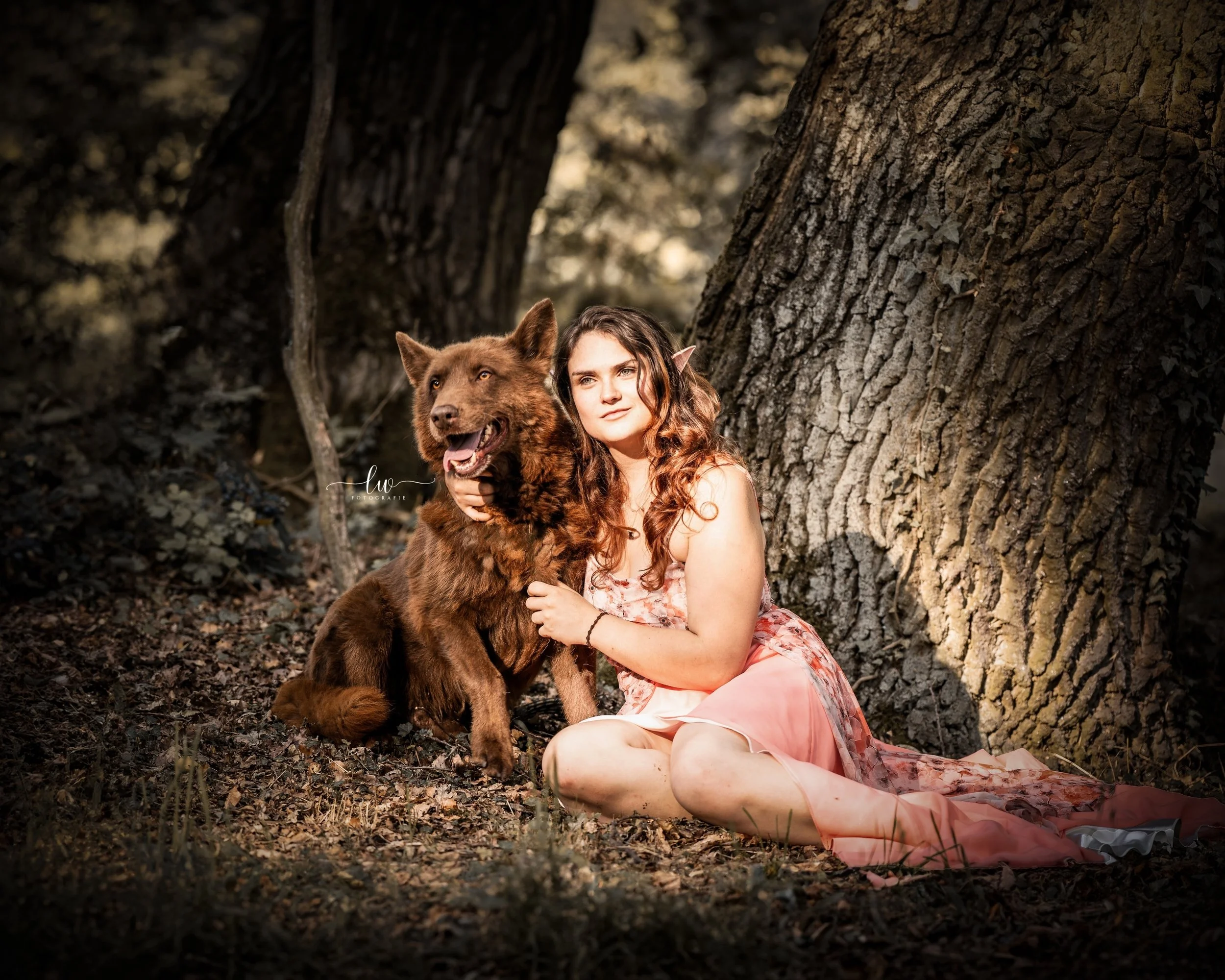 Eine junge Frau mit elfenhaften Ohren sitzt im Wald neben einem braunen Hund mit gelben Augen. Die Dame trägt ein rosa Kleid und hat lange, lockige Haare. Im Hintergrund sind große Baumstämme. Die Szene wirkt magisch und friedlich.