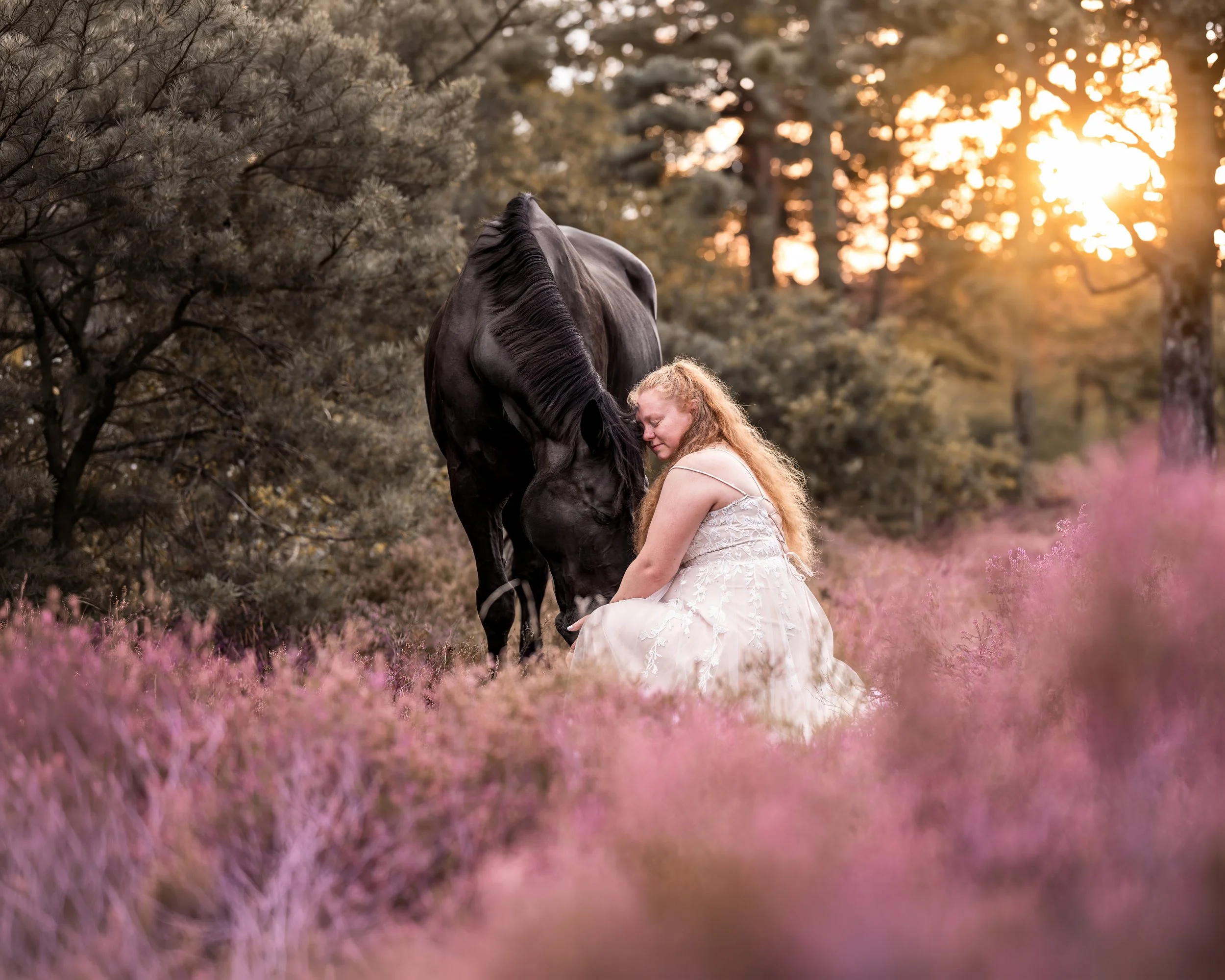 Ein junges Mädchen mit roten, lockigen Haaren umarmt ein schwarzes Pferd, während es sich in einem Wald bei Sonnenuntergang befindet. Im Vordergrund sind pinke Blumen zu sehen.