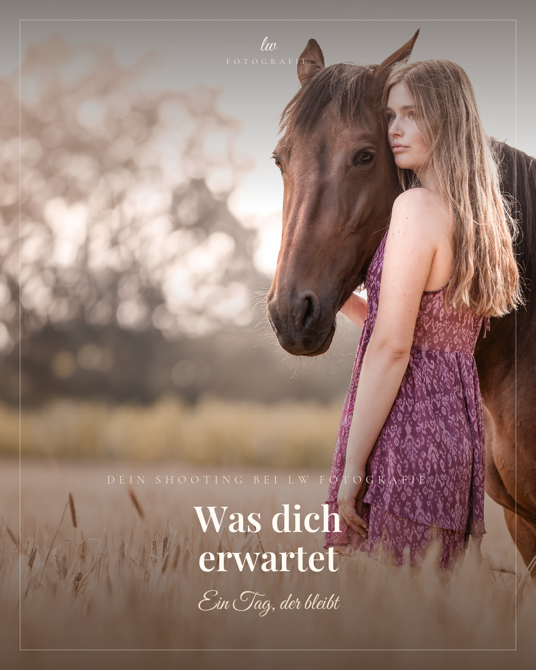 Junge Frau mit langem braunem Haar in lilaner Kleidung steht neben einem braunen Pferd in einer Wiese bei Sonnenuntergang, verschwommener Hintergrund mit Bäumen.