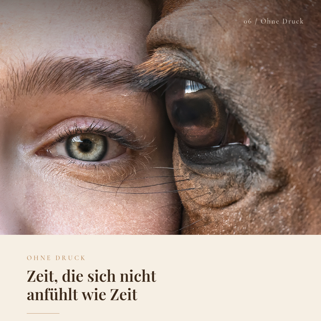 Nahaufnahme eines menschlichen Auges und einer Pferdehatze, die dicht beieinander sind.