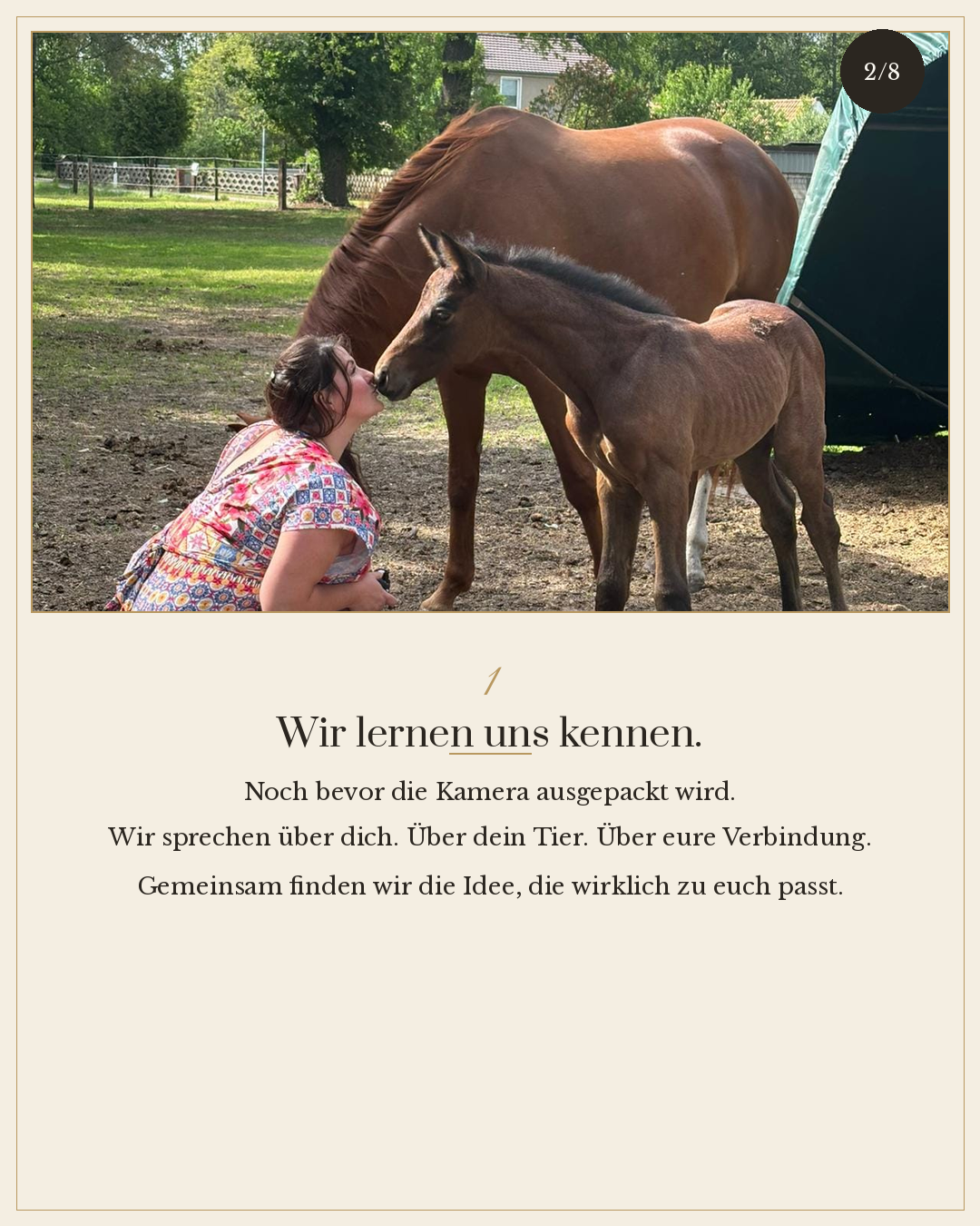 Eine Frau kniet vor einem jungen Pferd, während sie sich gegenseitig berühren und riechen. Im Hintergrund ist ein großer erwachsener brauner Pferd und eine grüne, bewaldete Umgebung zu sehen.