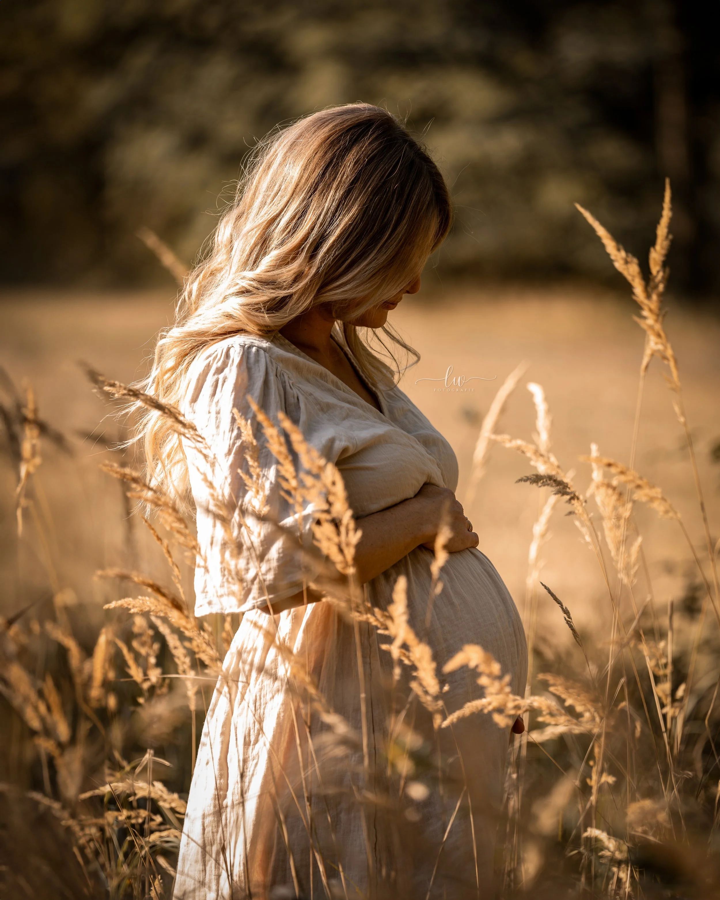 Eine schwangere Frau in einem hellen Kleid steht im Feld mit goldenen Gräsern, im Sonnenlicht, mit geschlossenem Kopf nach unten.