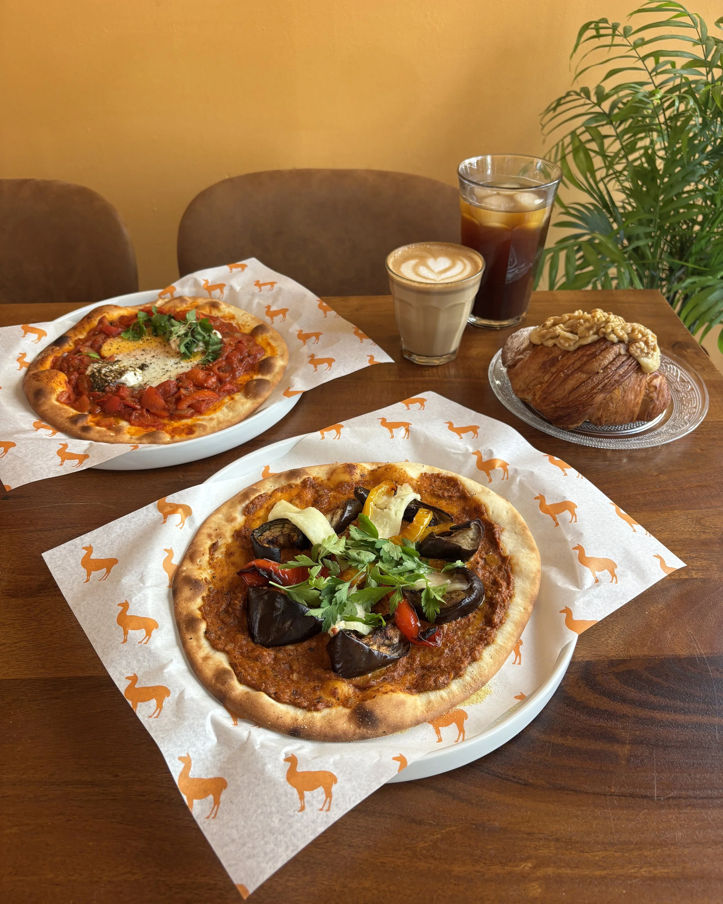 Lebanese flatbreads and organic coffee at the high llama