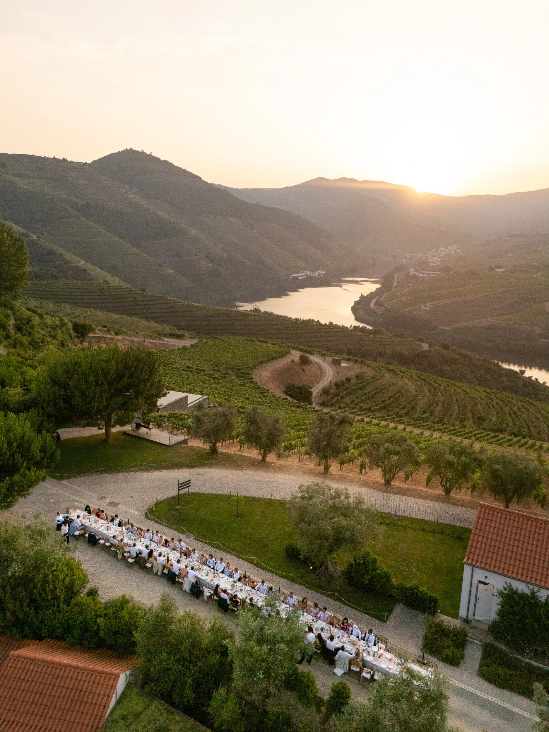 An outdoor dinner party on a long table set up on a grassy area near a vineyard with hills and a river in the background during sunset.