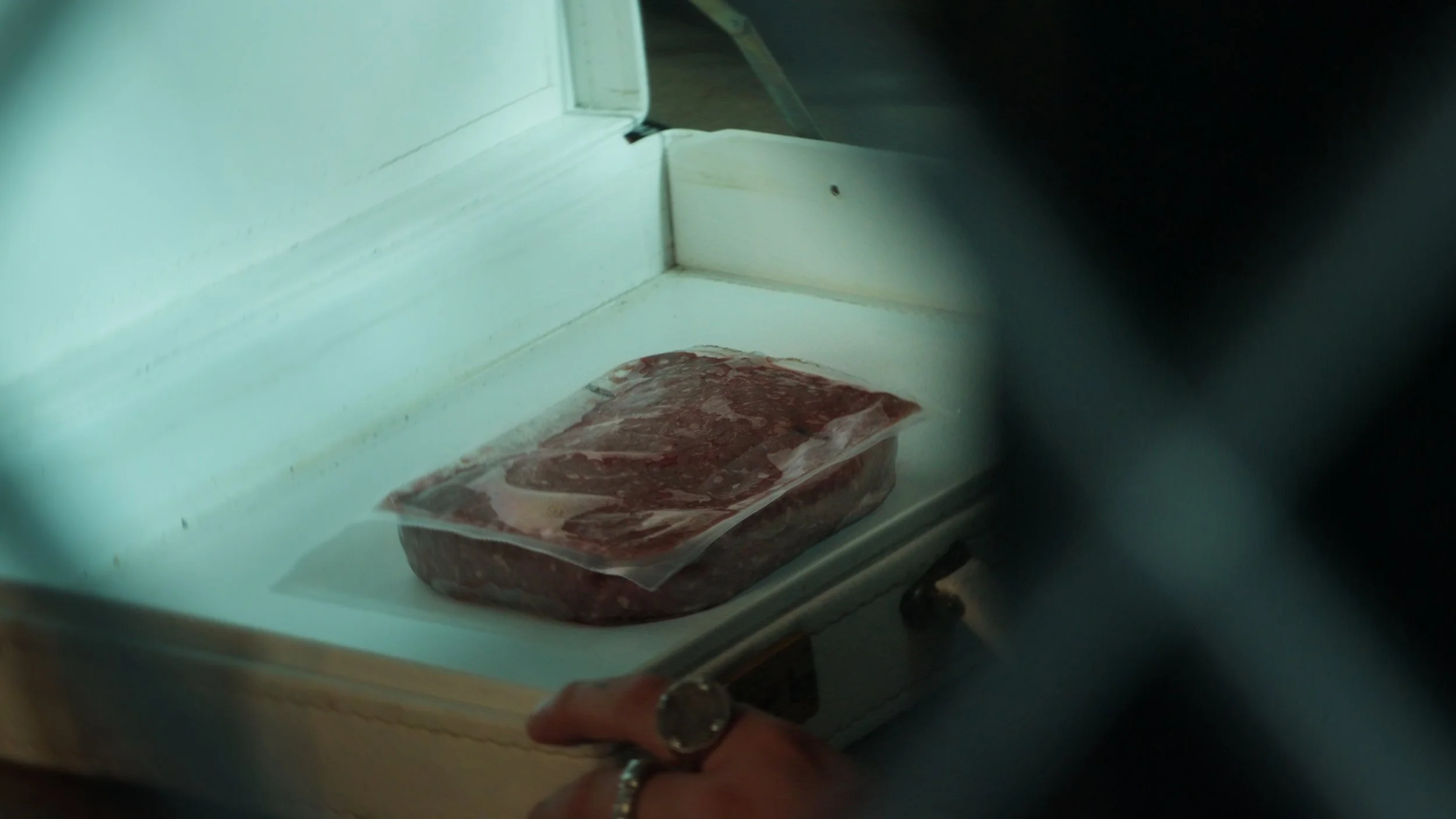 Person opening a freezer door to reveal a package of raw meat inside.