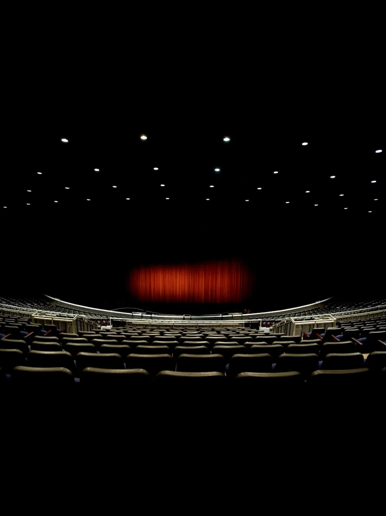 Finding Flexibility : A Journey of Growth and Grace.