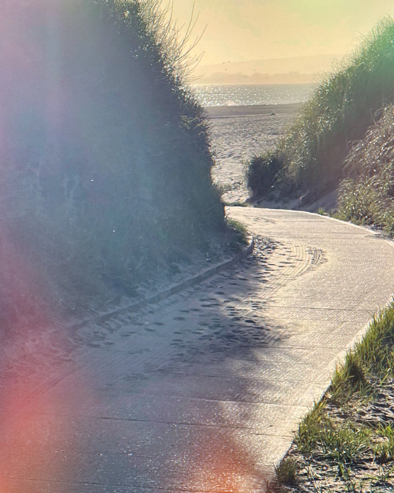 A winding paved pathway leads to the beach with sand, ocean, and horizon in the background, flanked by tall grass and bushes, with the sun shining.