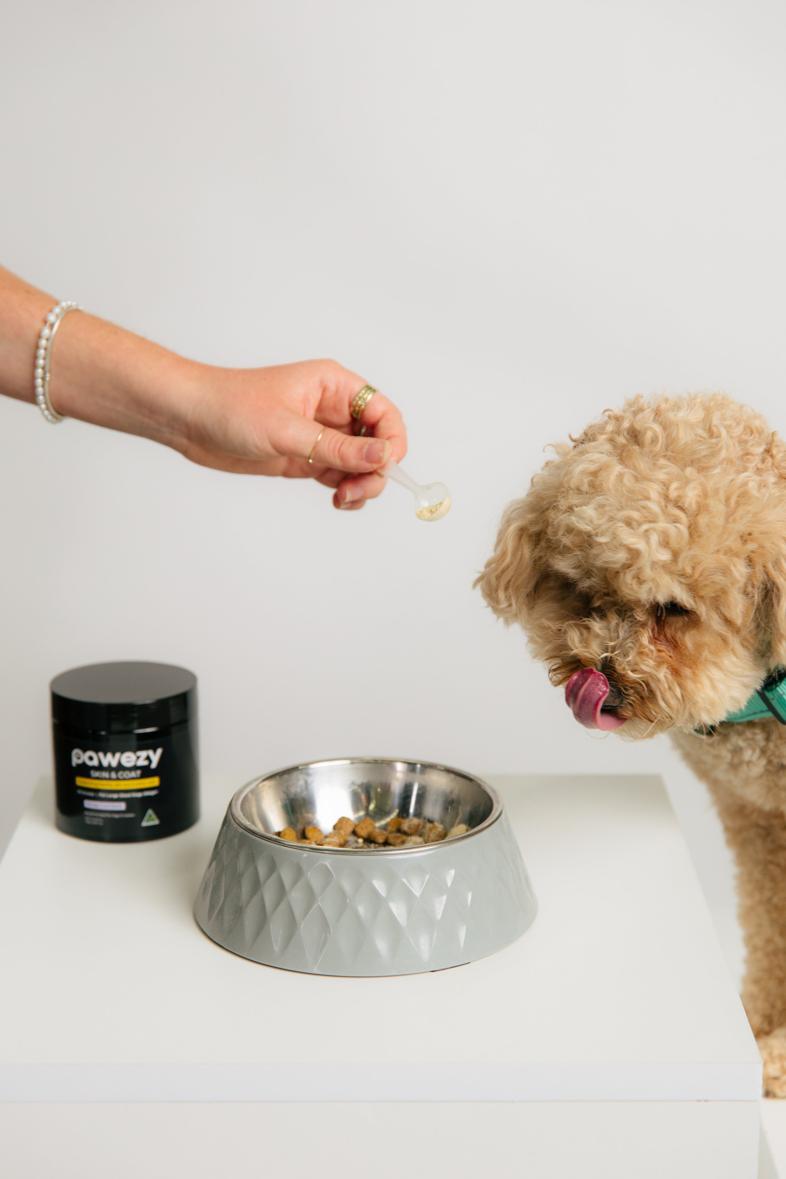 Person feeding dog with a spoon, dog near food bowl, dog licking its lips, on a white surface with jar labeled 'PowEzy' in background.