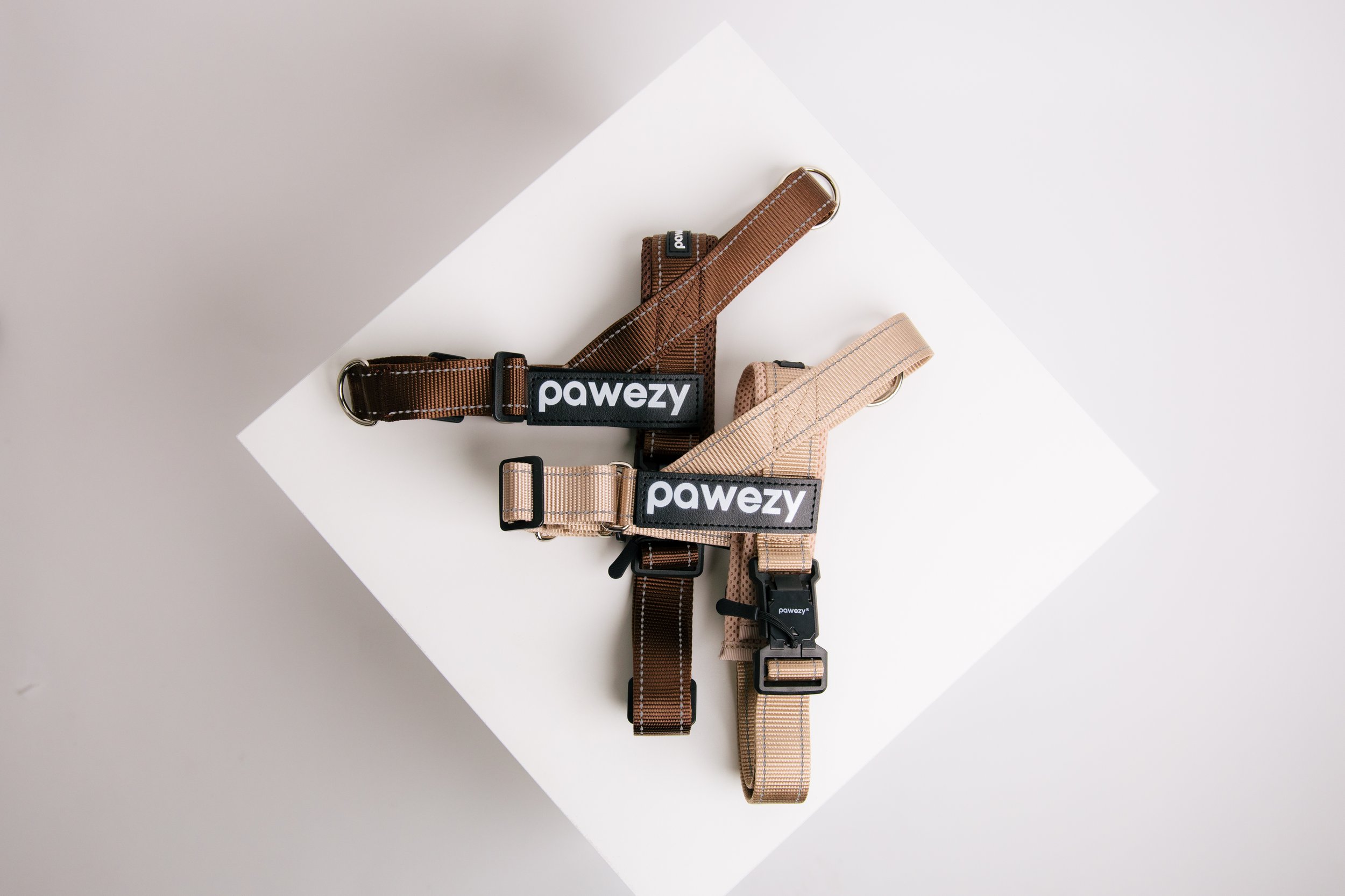 Three beige and brown pet collars with black tags that read 'pawezy', laid out on a white geometric platform.