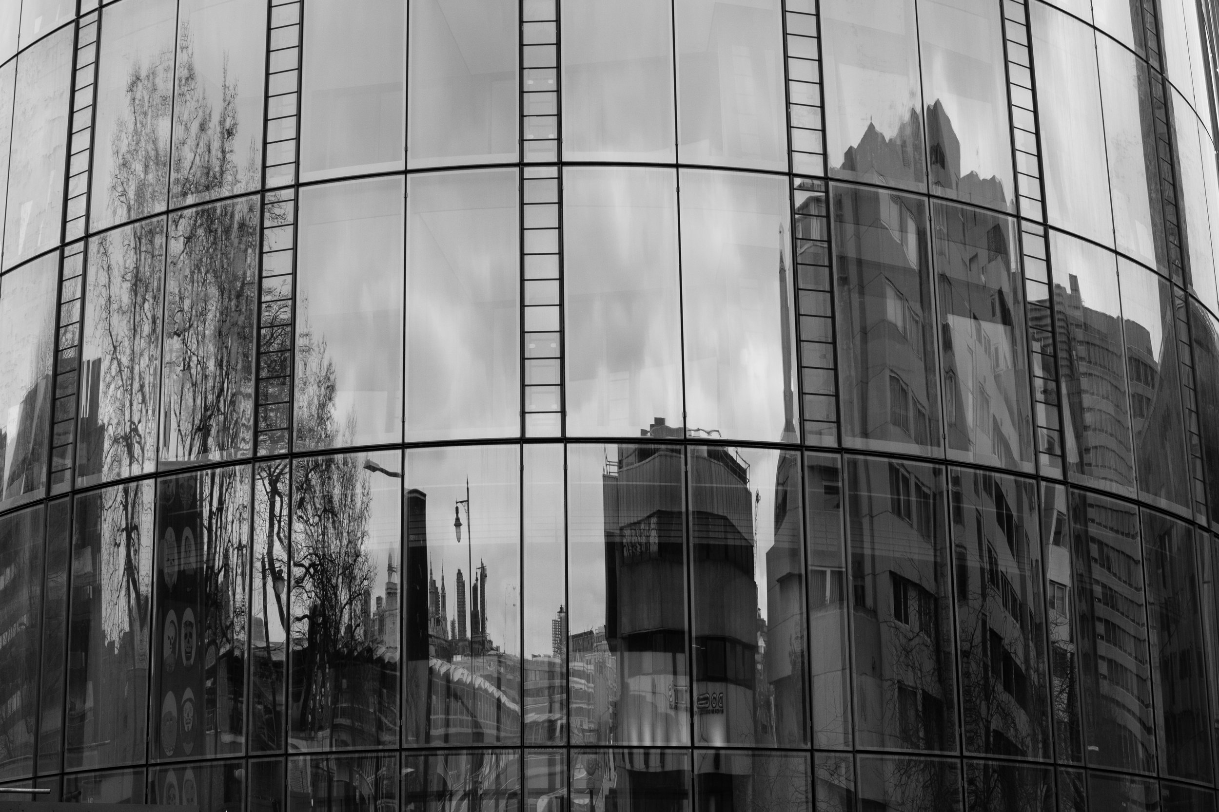 L1007709.jpg
