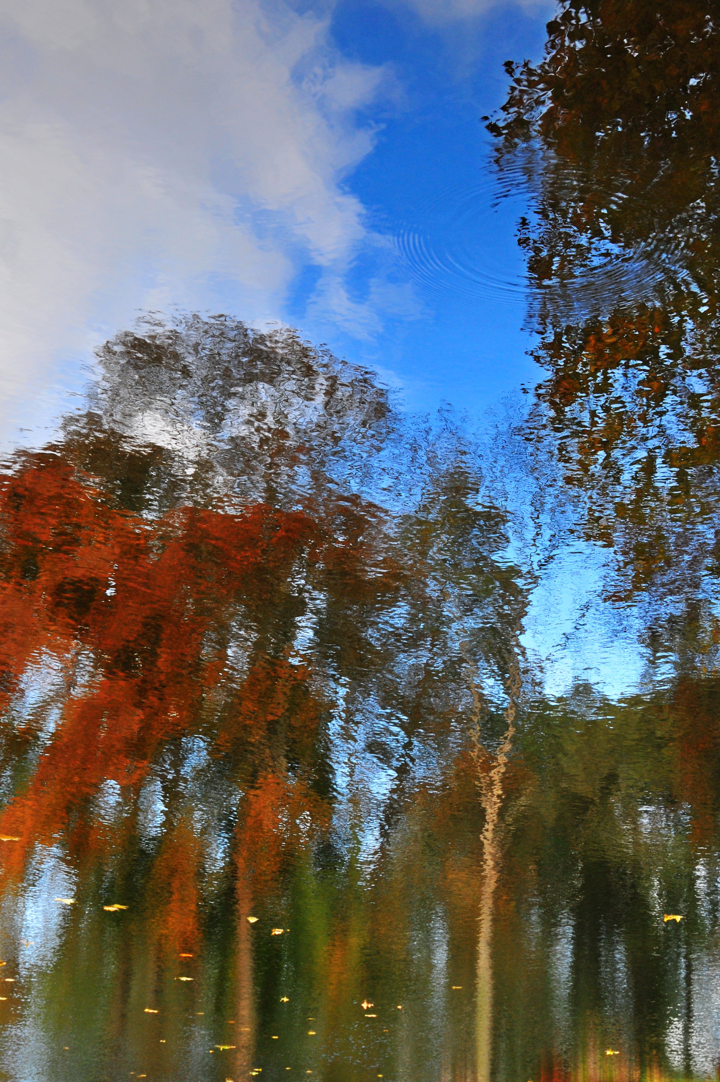 DSC_5706.jpg
