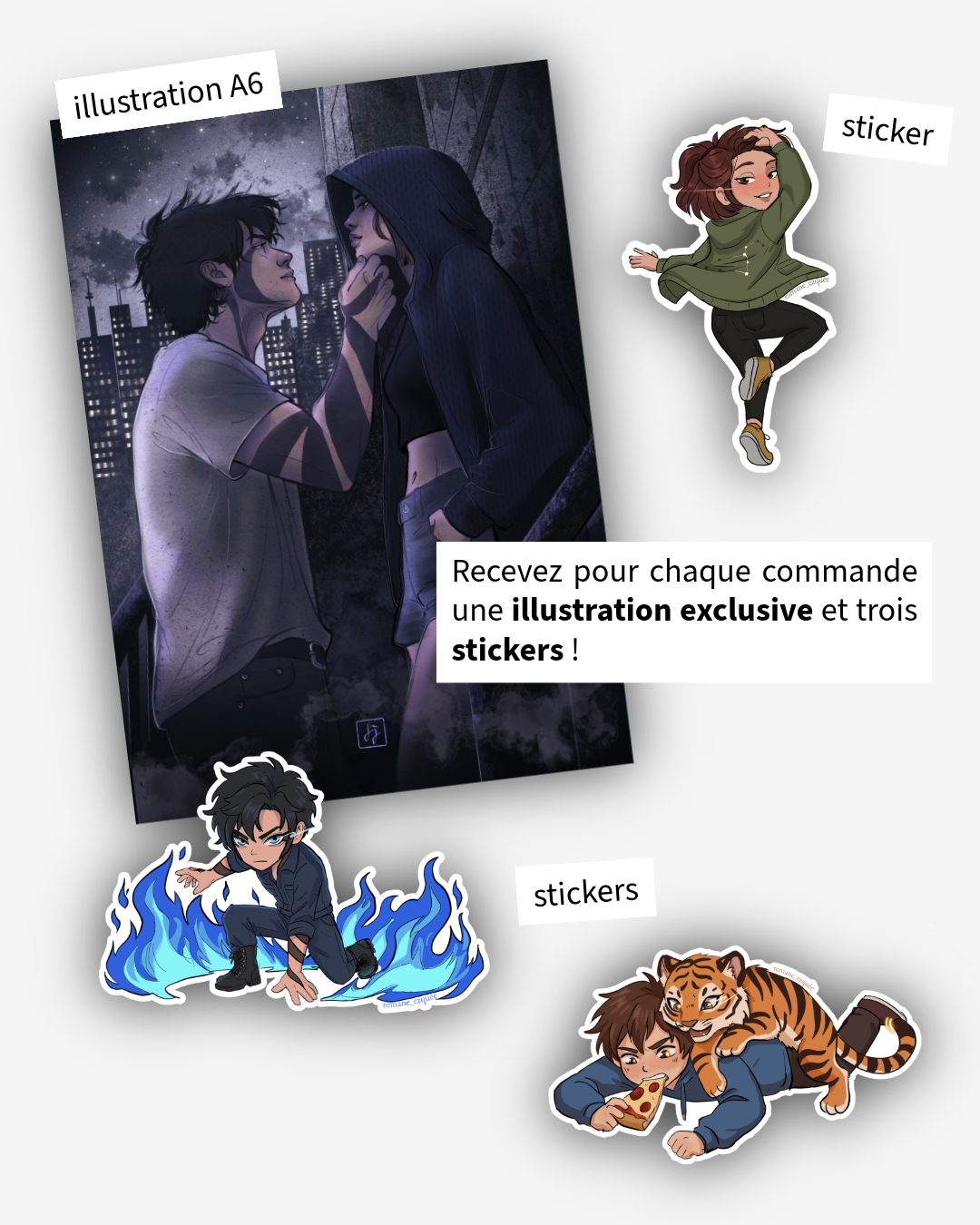 Asters + reddition des comptes-1.png