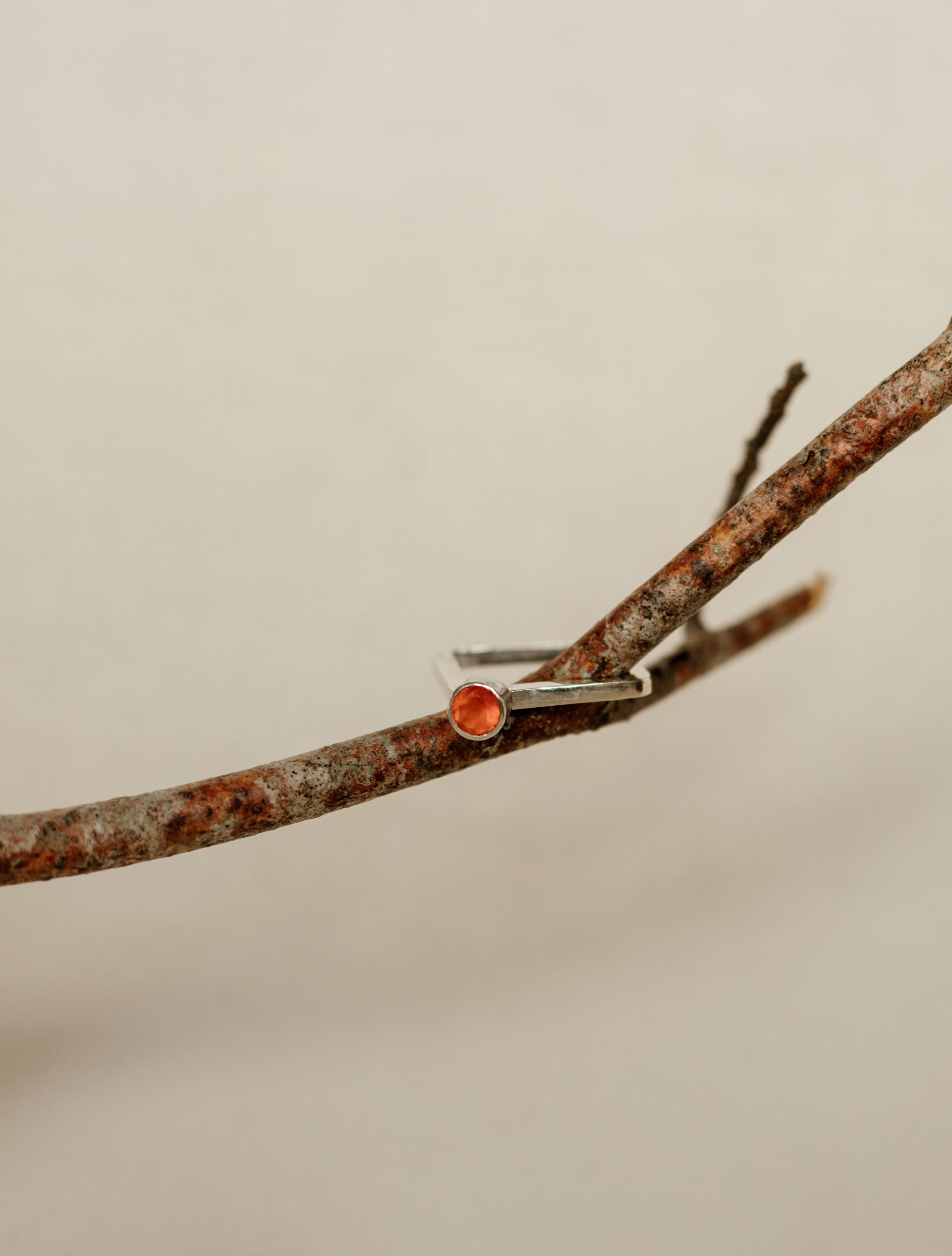 IMG_2158.jpeg