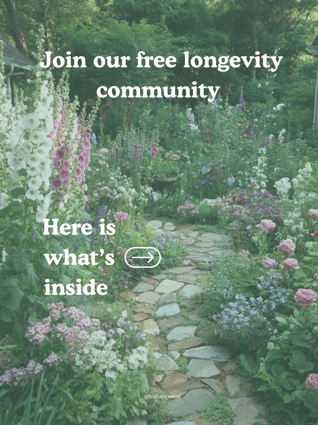 Devotion to your vitality✨

A women&rsquo;s longevity group, I wish existed when I was figuring out my own health and vitality.

A softer way. Feminine longevity: one that recognises somatic intelligence and a nervous system foundation as the place w