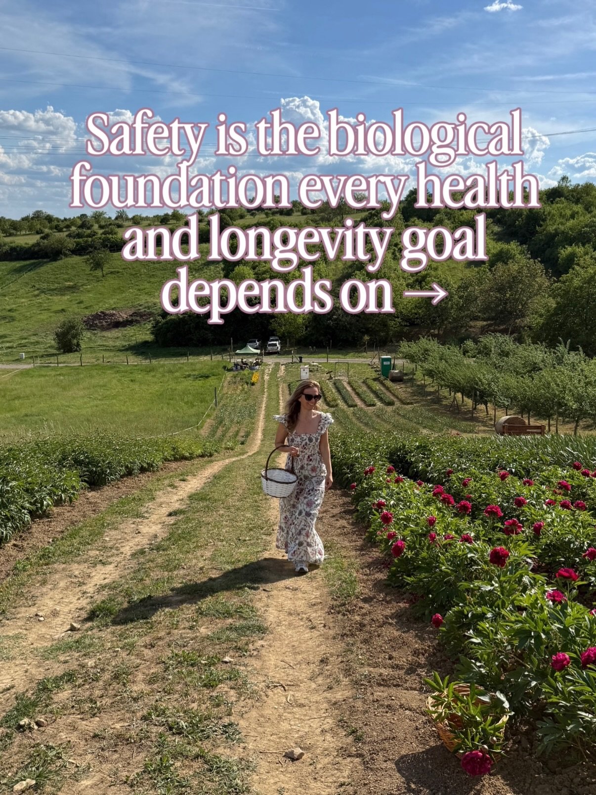 Most longevity conversations start with the protocols.
The supplements. The sleep stacks. The metabolic markers. The cold exposure. The fasting windows. The continuous glucose monitors. 

Nobody starts with the nervous system.

But here&rsquo;s what 