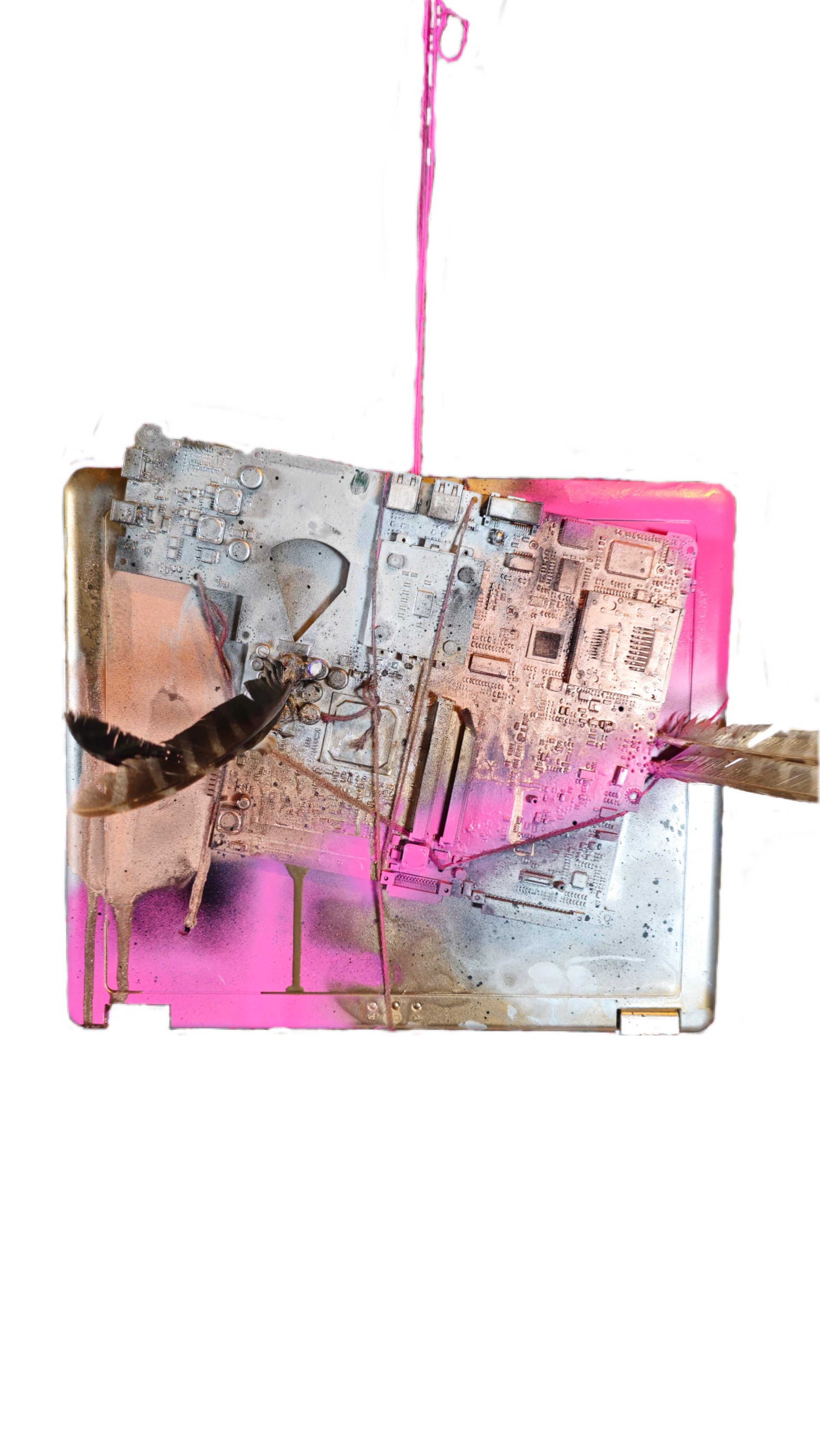 BackgroundEraser_20250911_022028521.png
