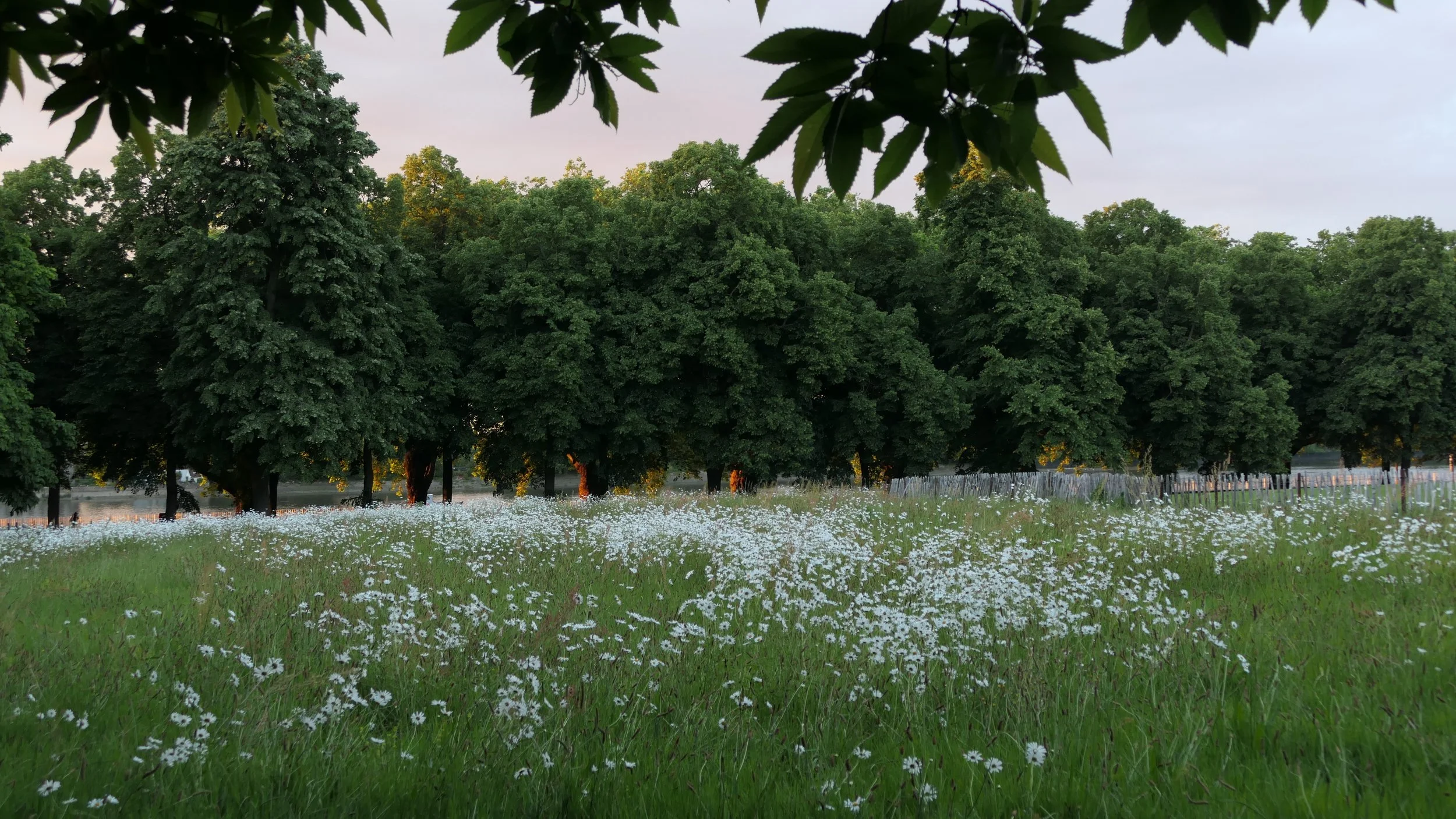 poem: england in june