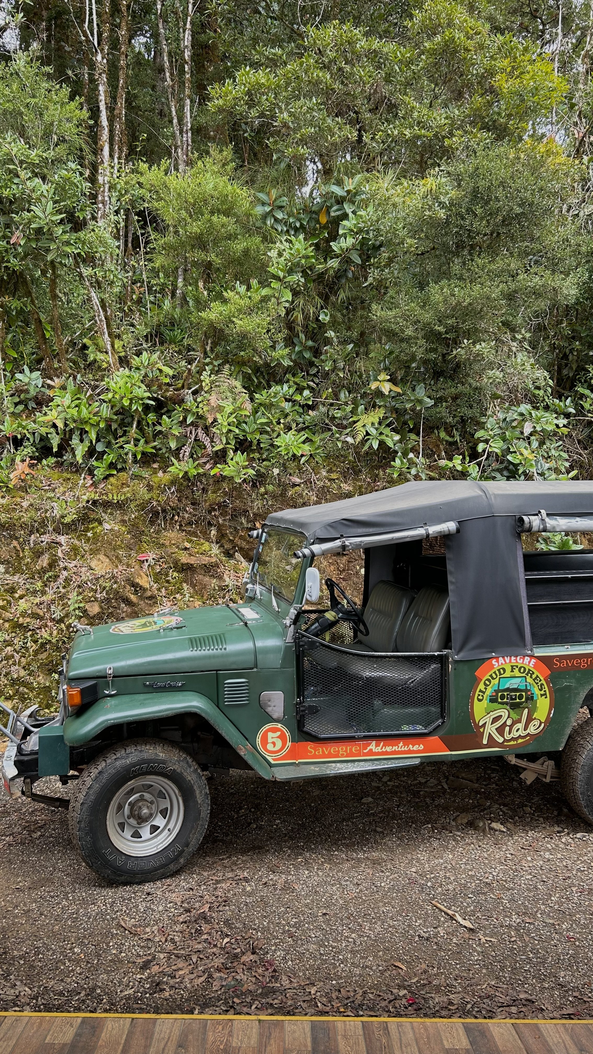 Into the cloudforest highlands. San Gerardo de Dota, Costa Rica (2023)