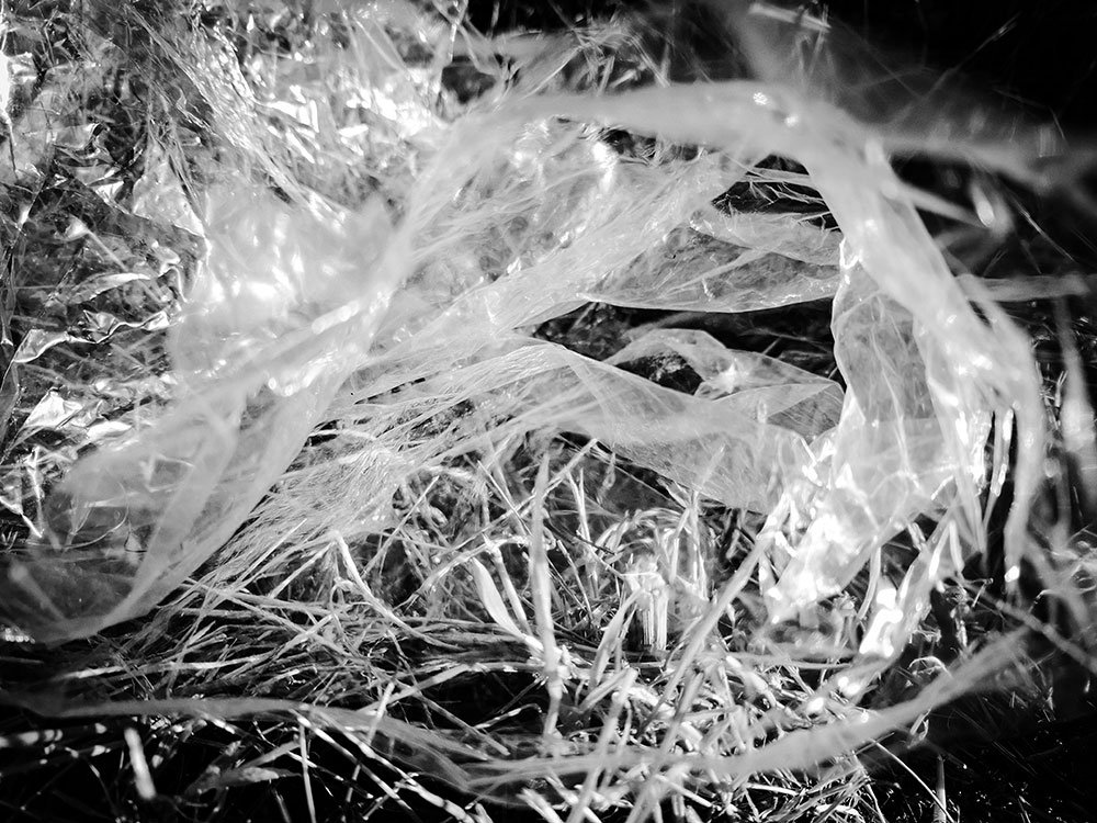 Plastic Intrusion 2. Digital Photo. Various Sizes. 2024.