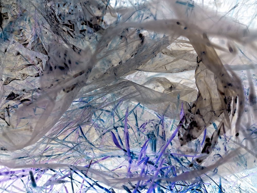 Plastic Intrusion 3. Digital Photo. Various Sizes. 2024.