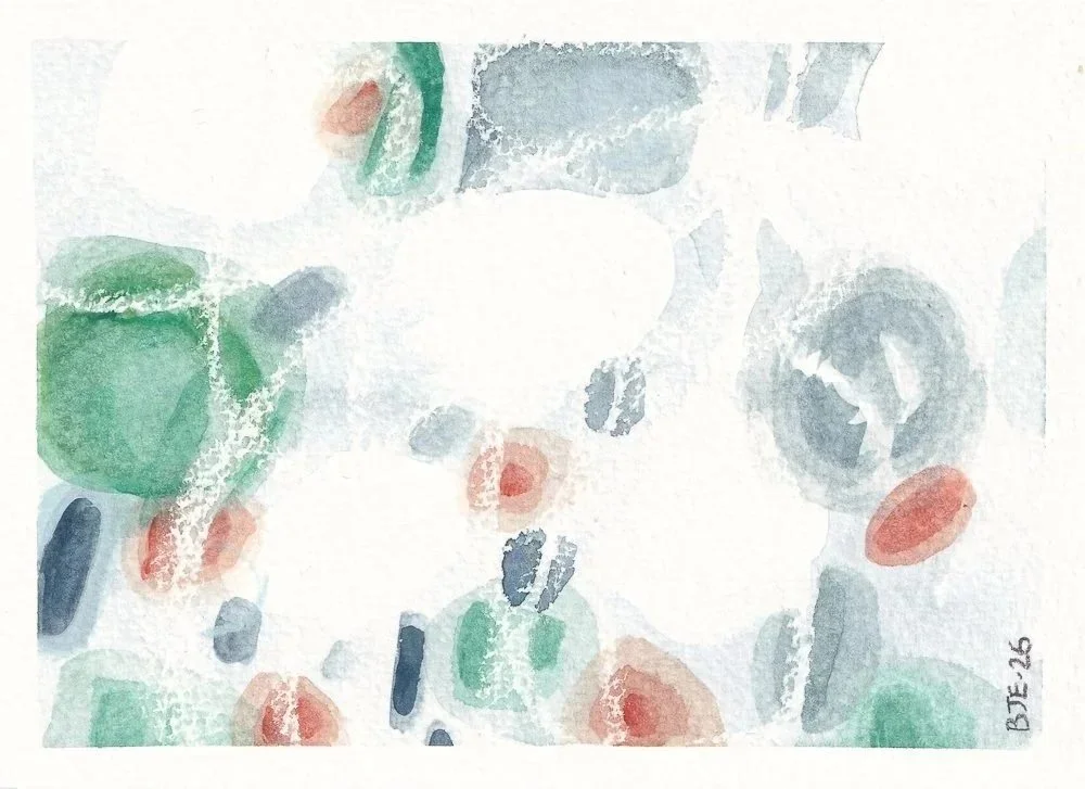 Project 2026 - A Year in the Garden: 365 Drawings