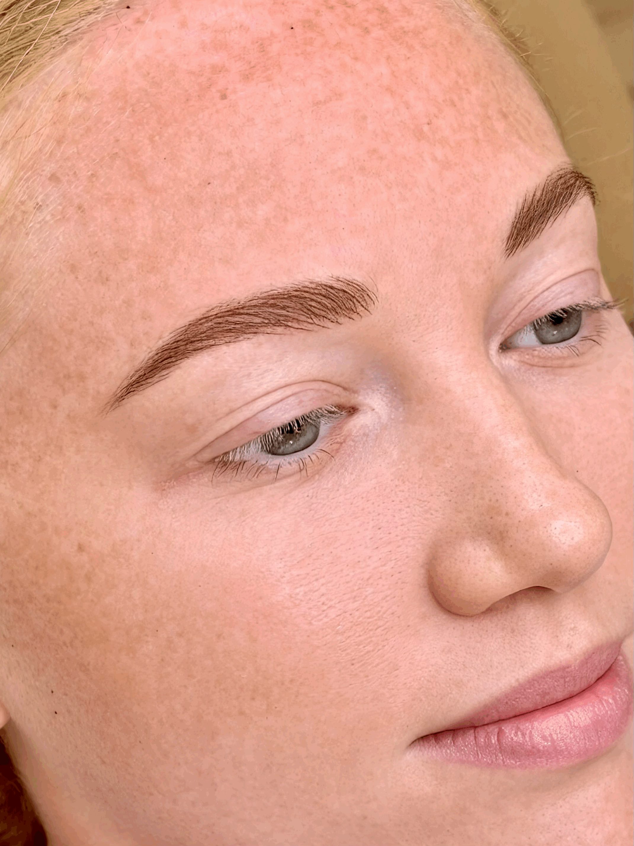 Lip Blush + Nano Brows in St. Petersburg, FL: The Ultimate Low-Maintenance Beauty Duo