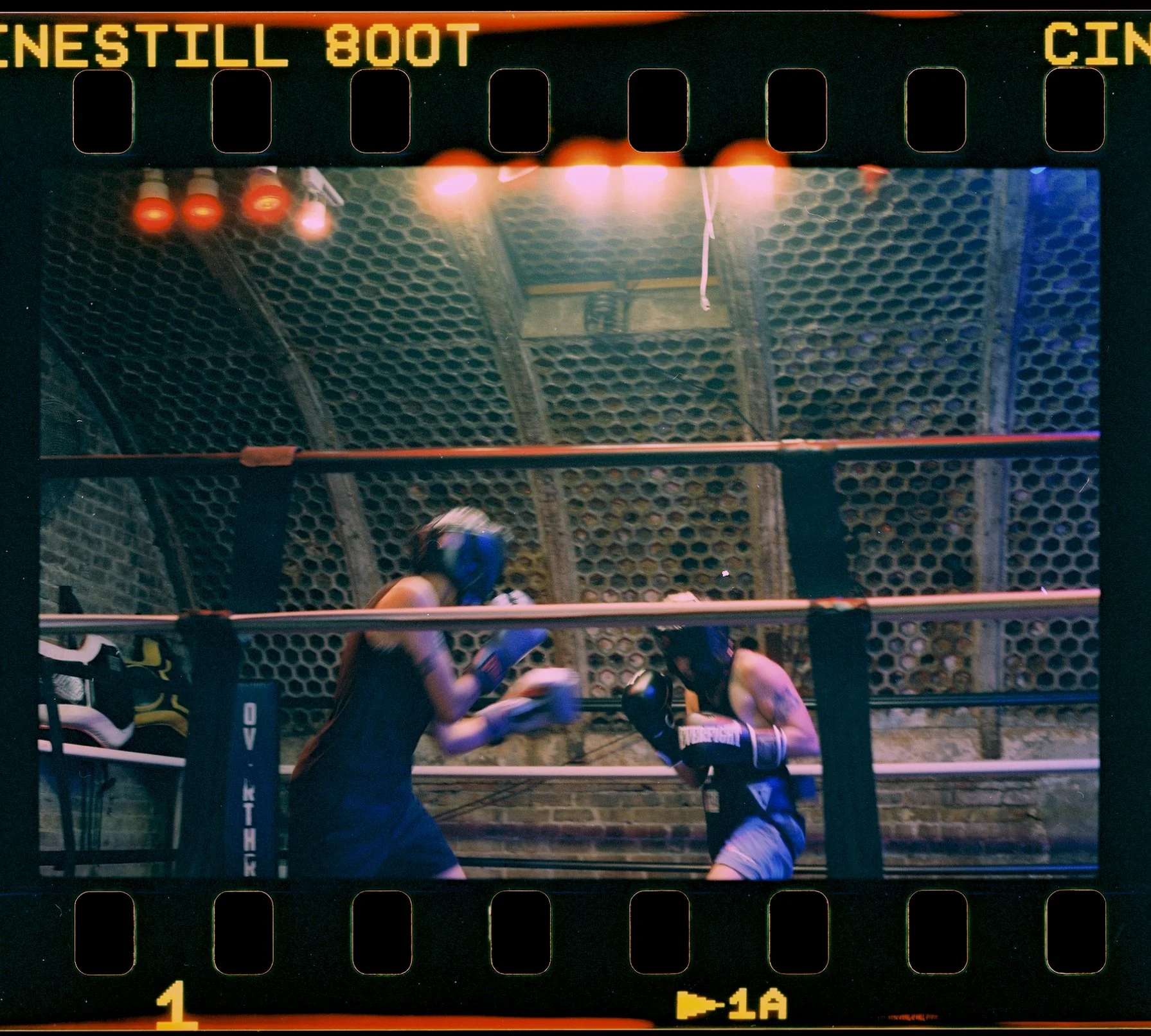 0036500_0036500-R1-E001.jpeg