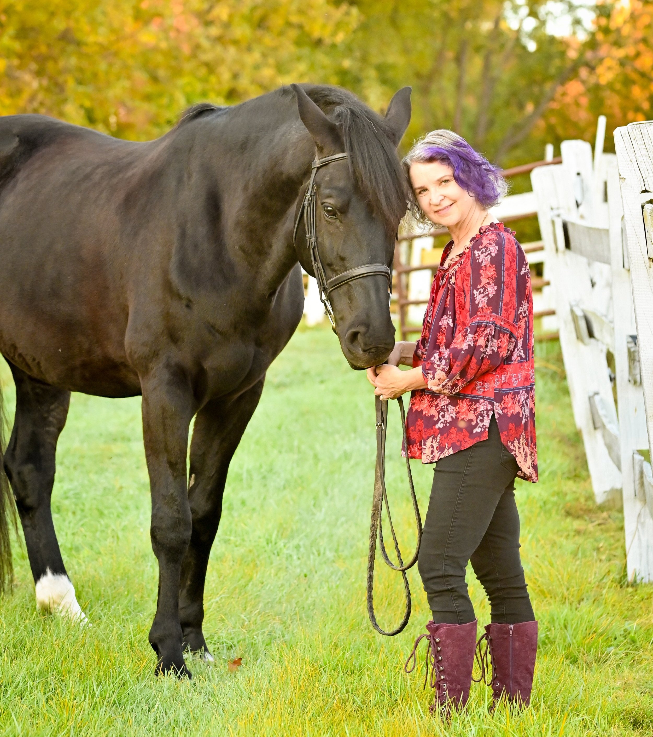 Hello Horses!